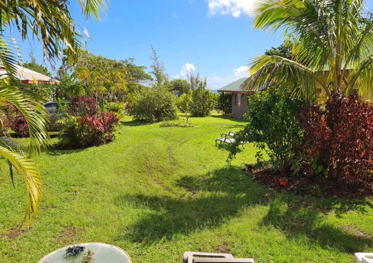 One-Bedroom Apartment - single occupancy in Cabañas Honu Nui Inn