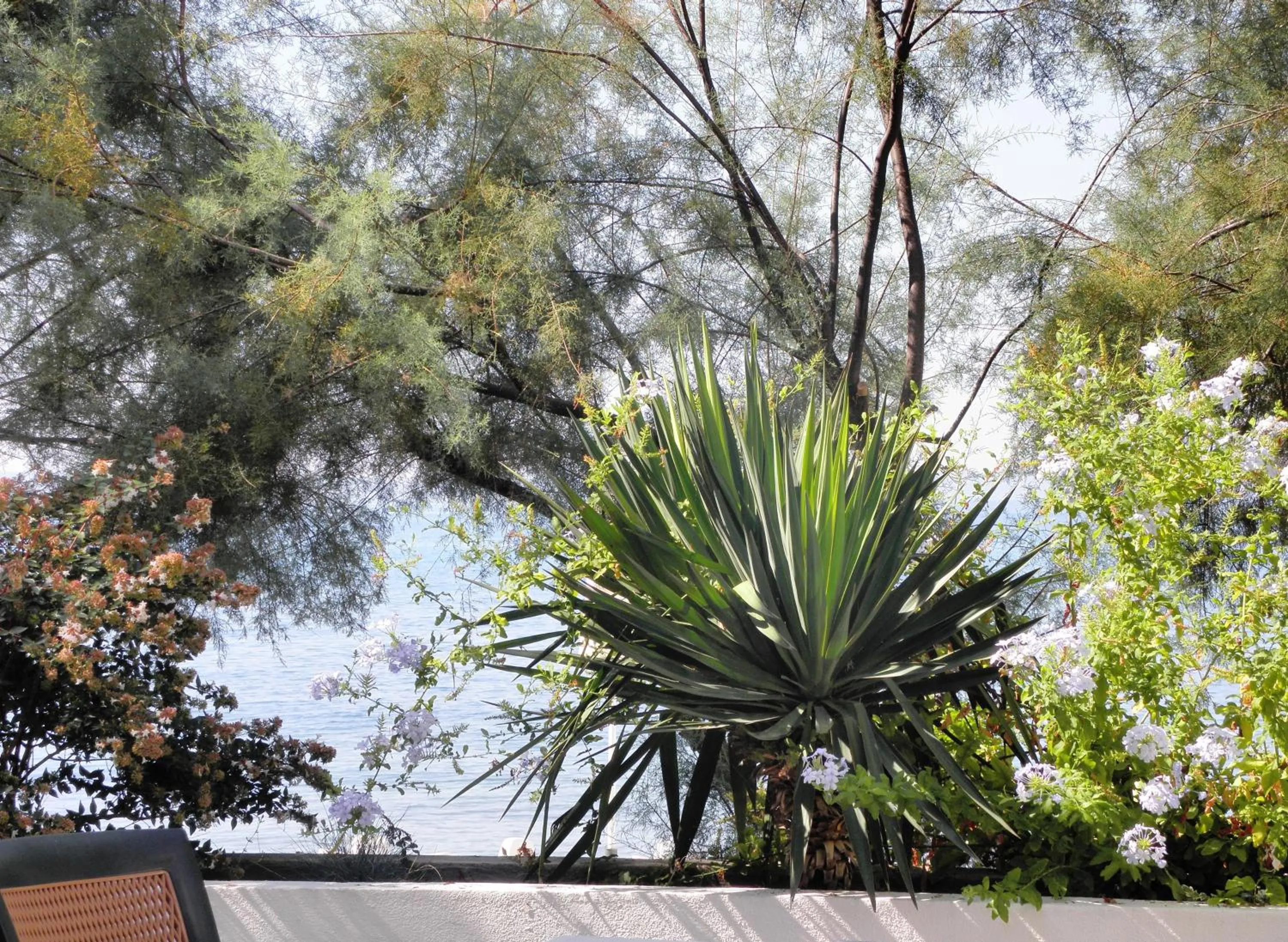 Garden in Beach Guesthouse Mediteran