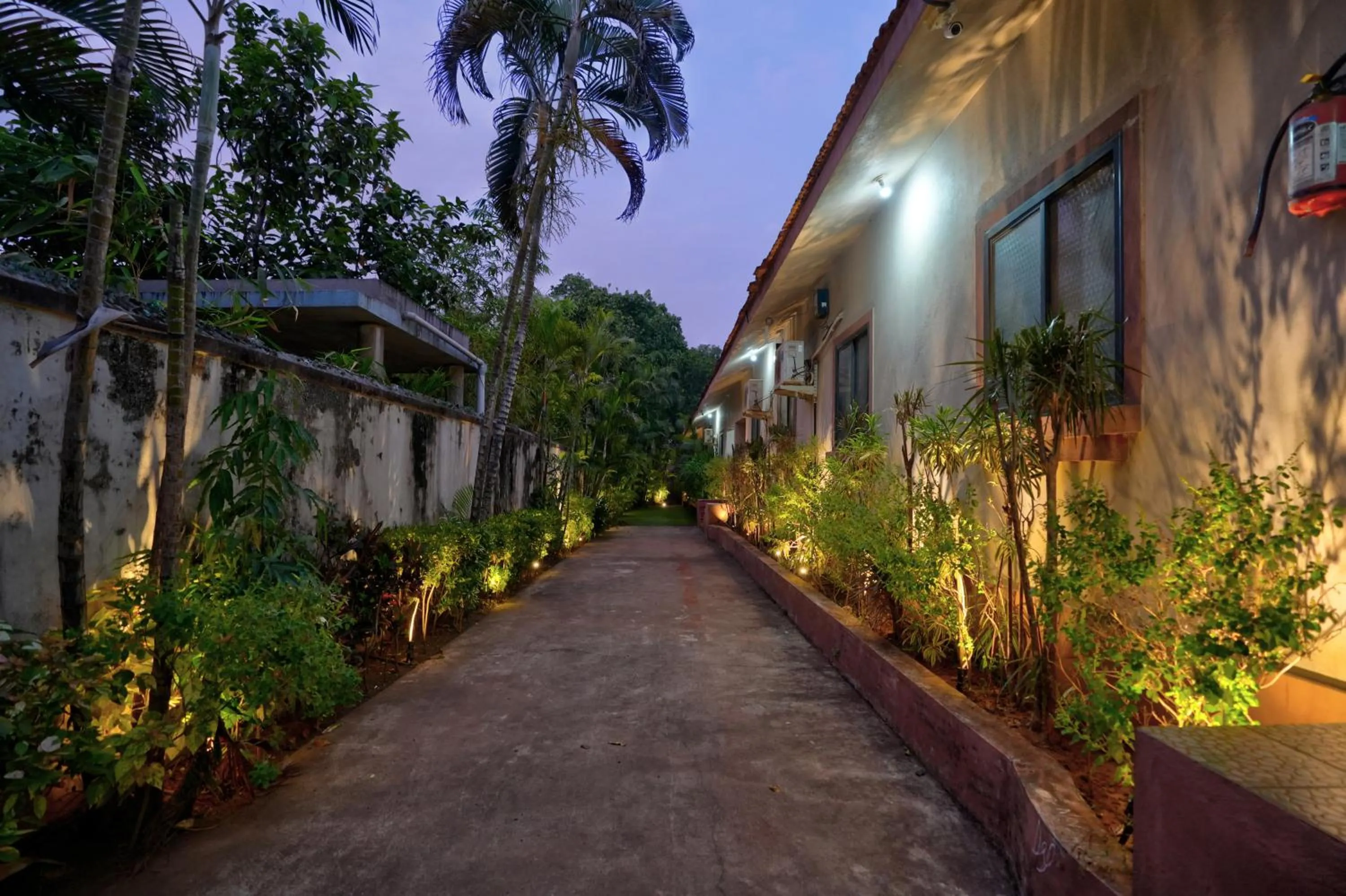 Garden in Casa De Royale - Anjuna