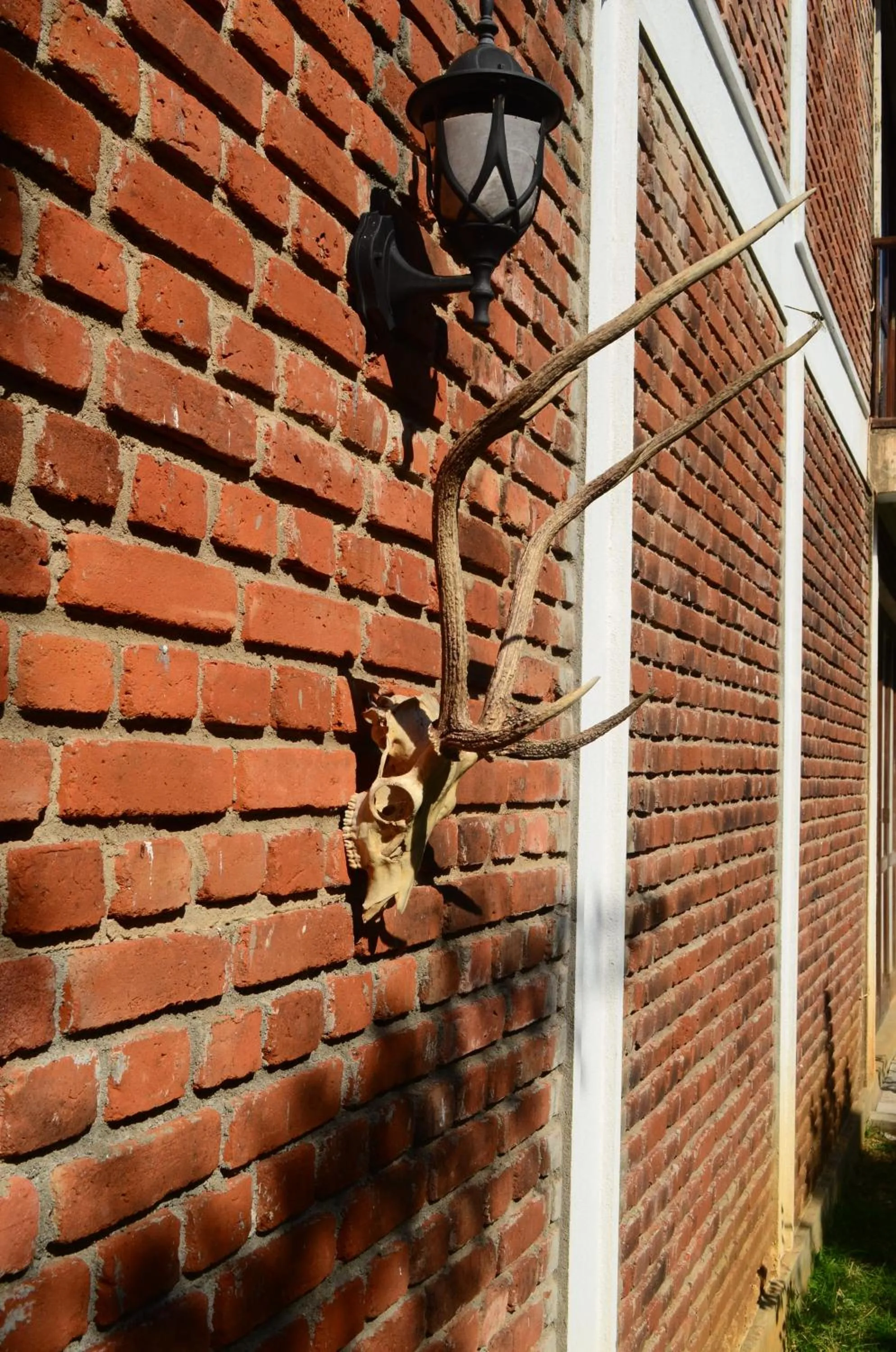 View (from property/room) in Vallee 69 Eco Villa-Tissa,Yala