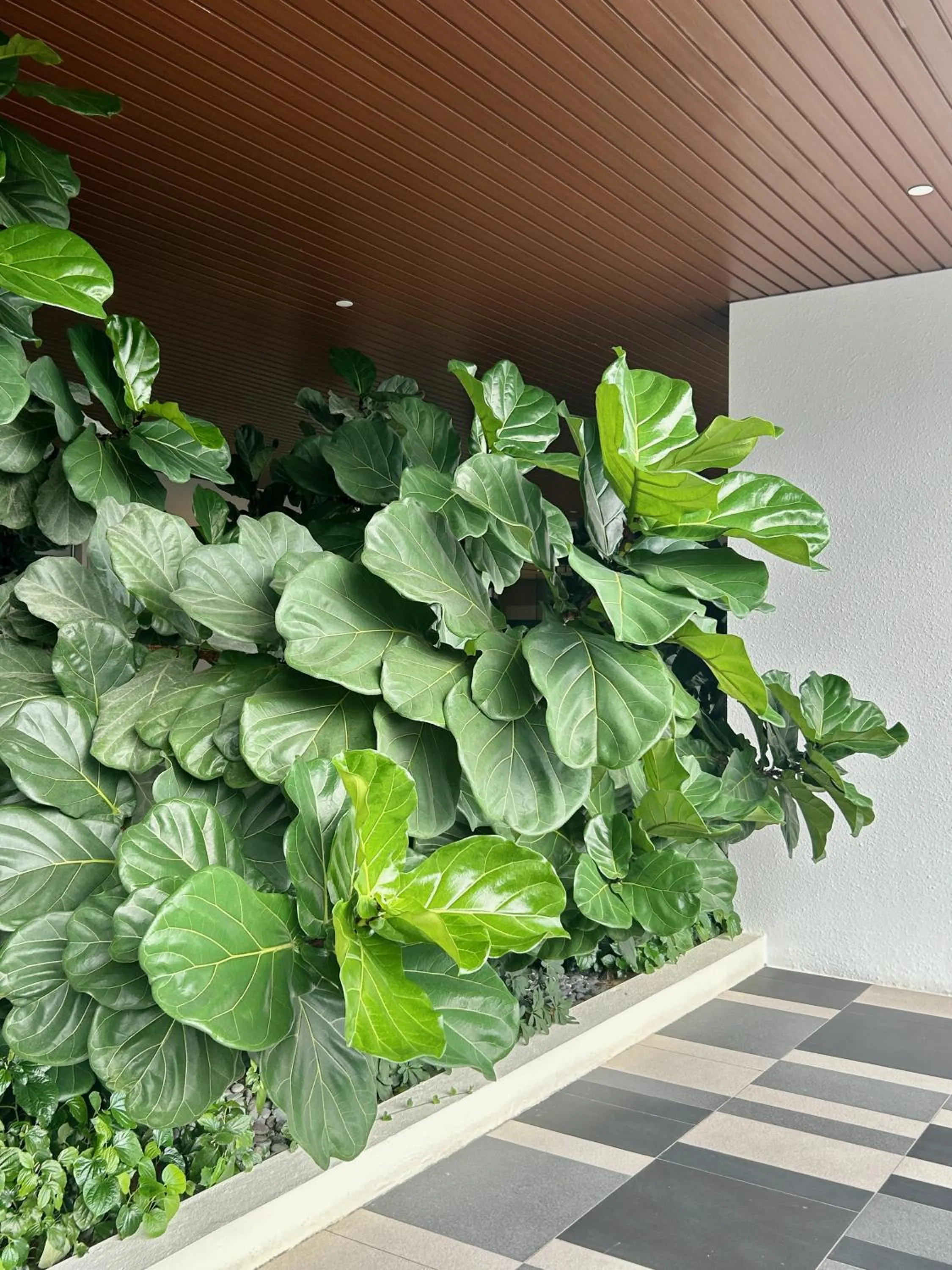 Day in KL Central 33rd Floor KLCC view