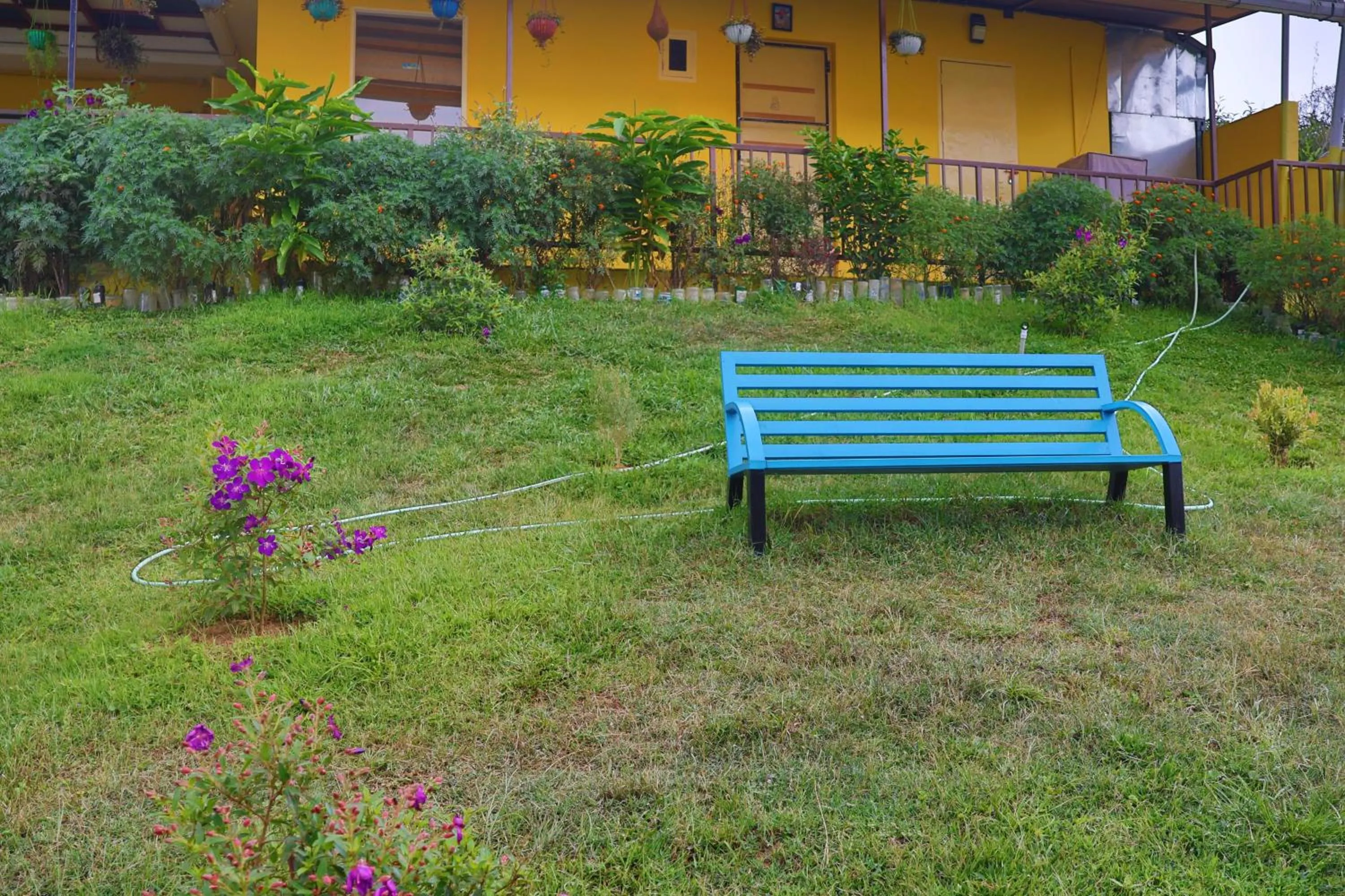 View (from property/room) in Jmount Vagamon Resort