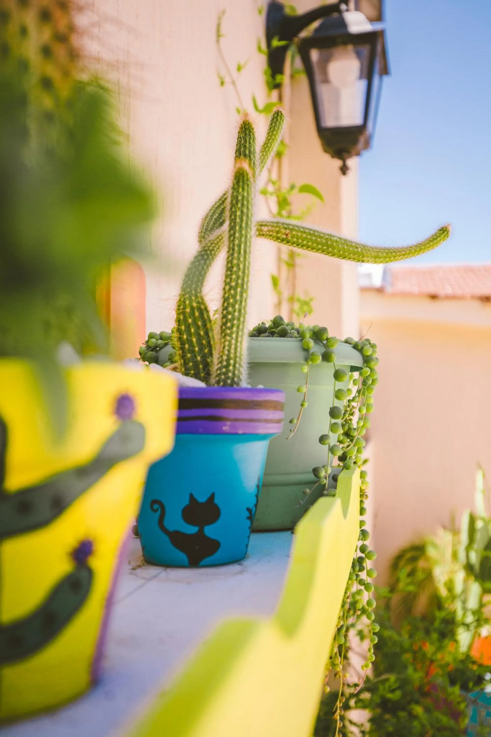 Balcony/Terrace in Hotel Calimera