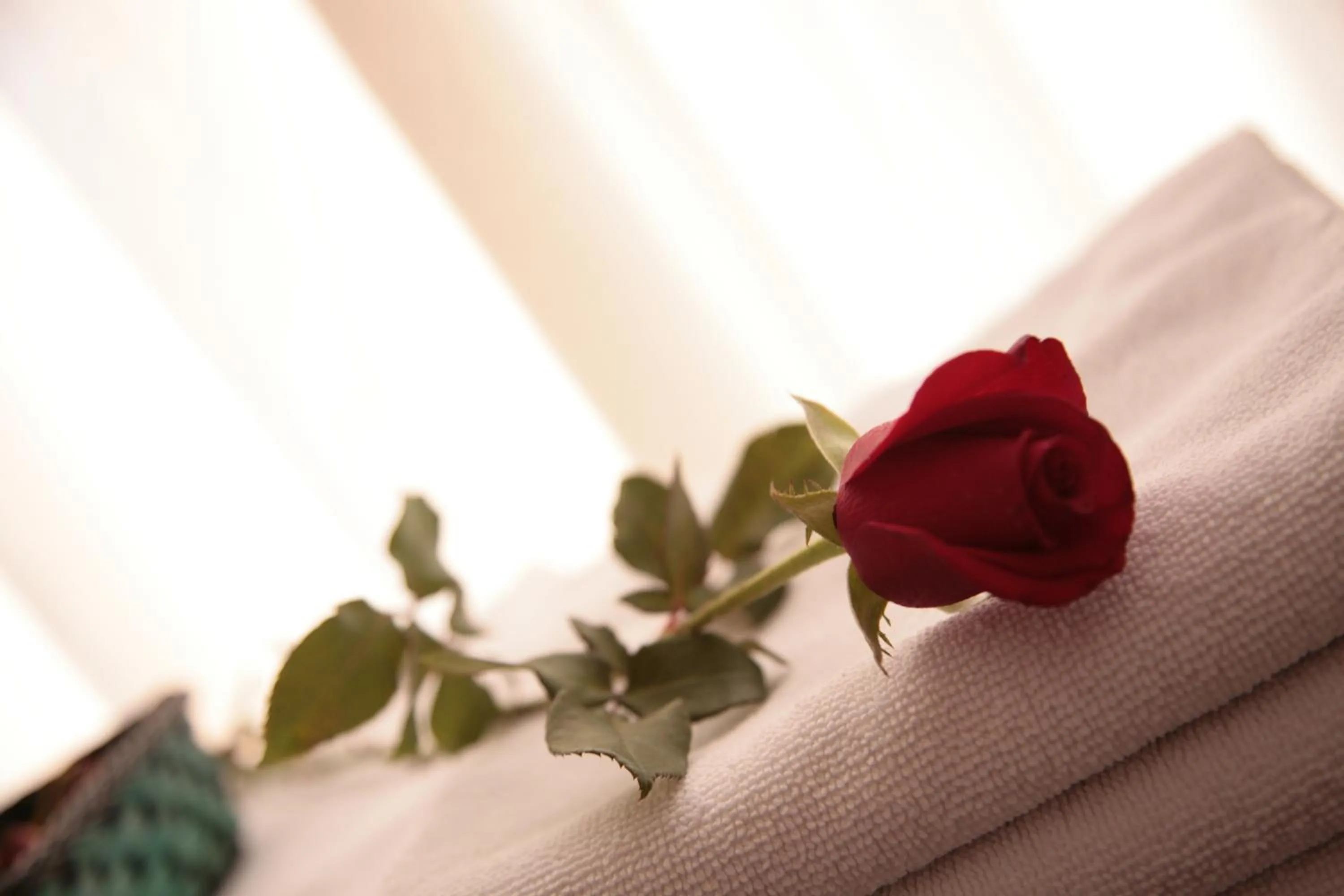 Decorative detail in Hostal Antigua Morellana