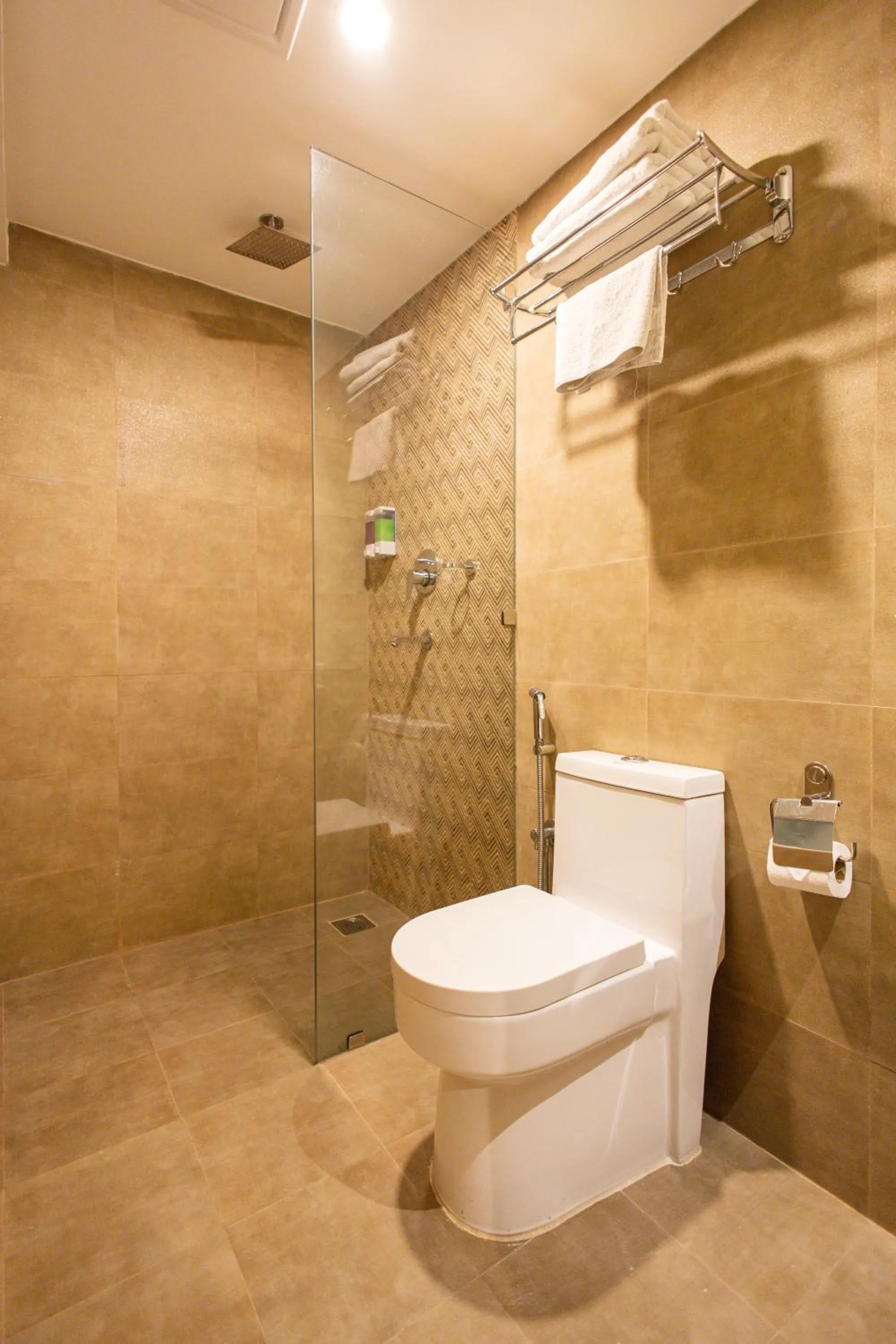 Shower in Divya Boutique Inn