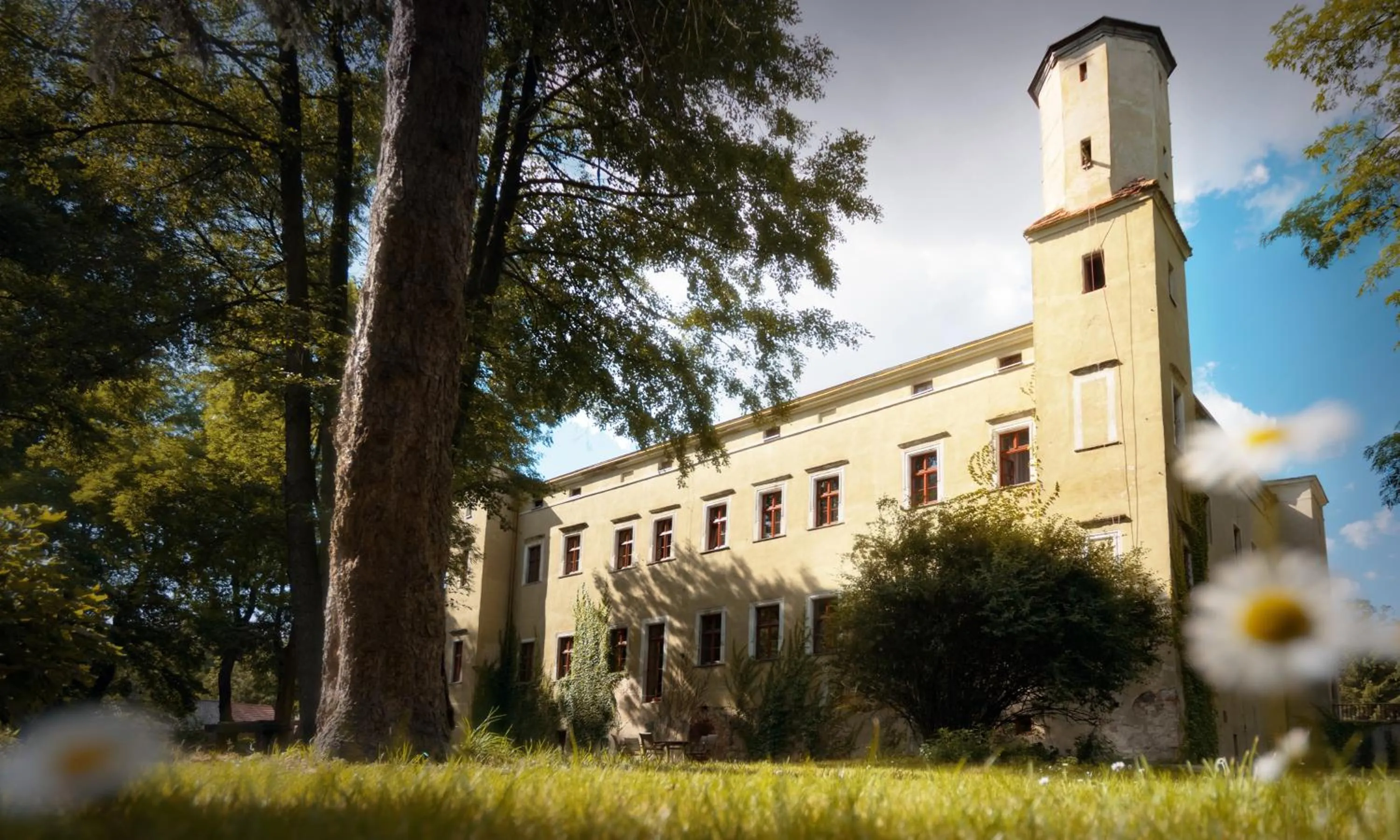 Property building in Zamek Dobroszyce