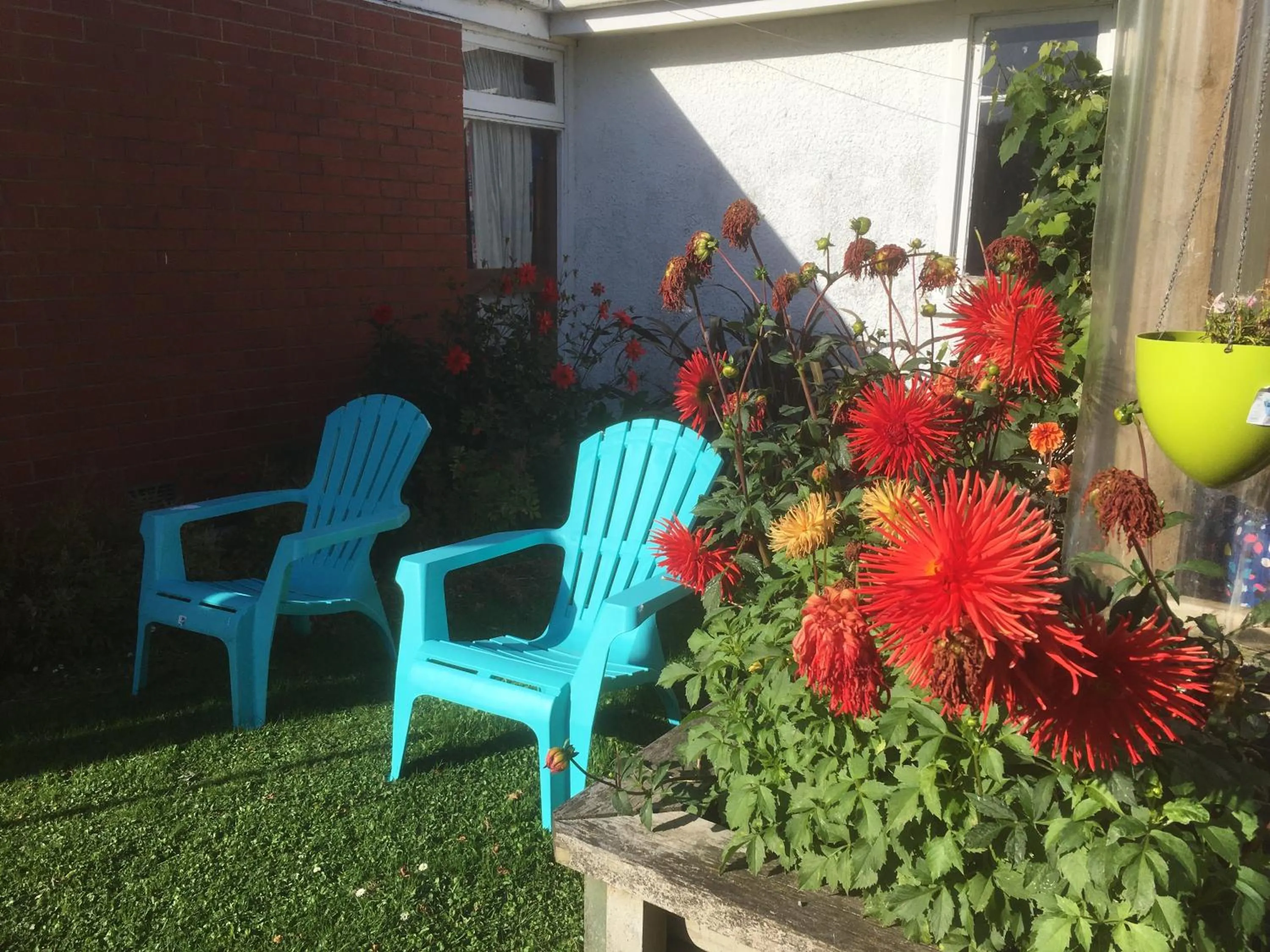 Garden in Thomas's Catlins Lodge and Camp Ground
