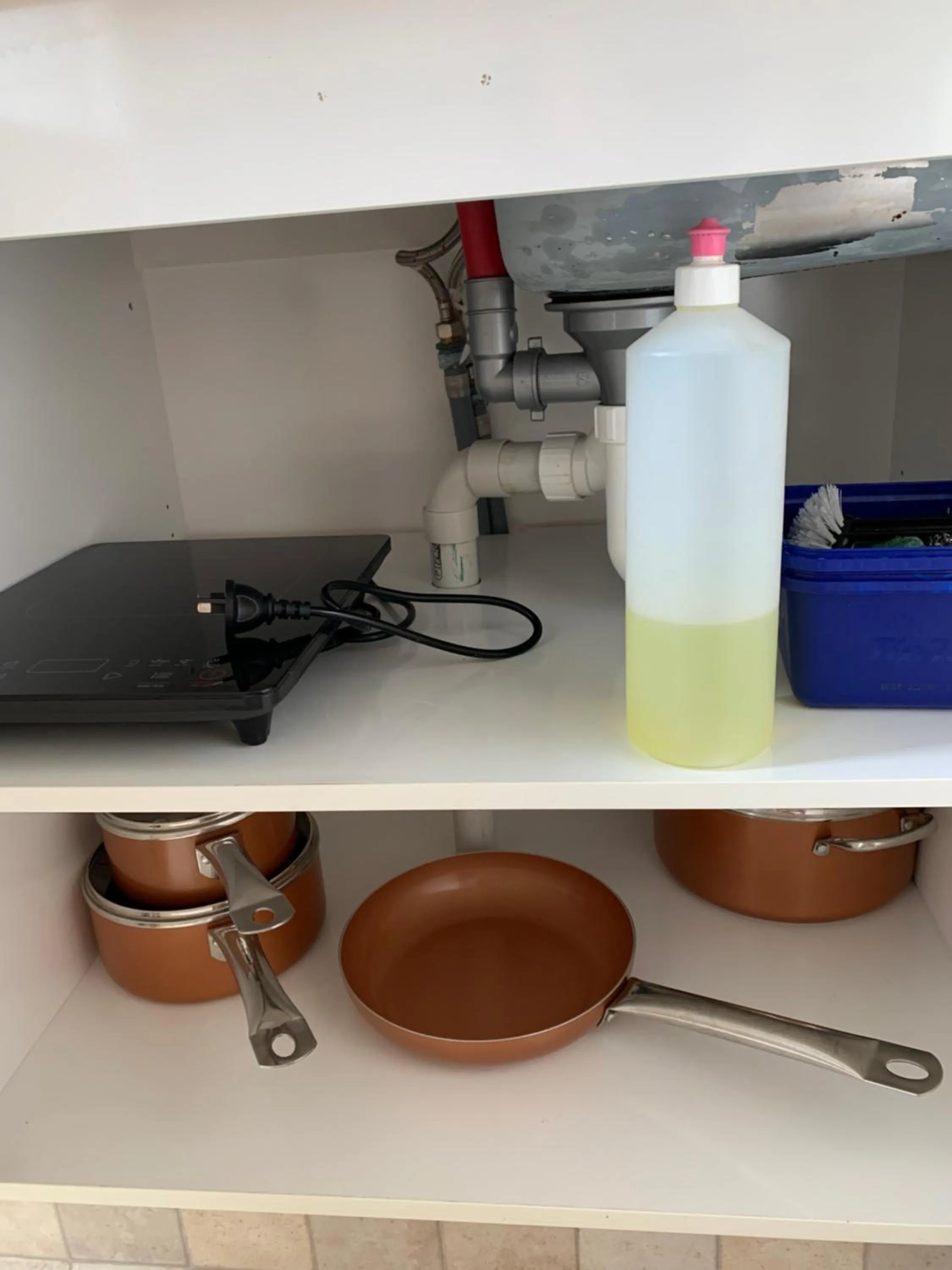 Kitchen or kitchenette in Thomas's Catlins Lodge and Camp Ground