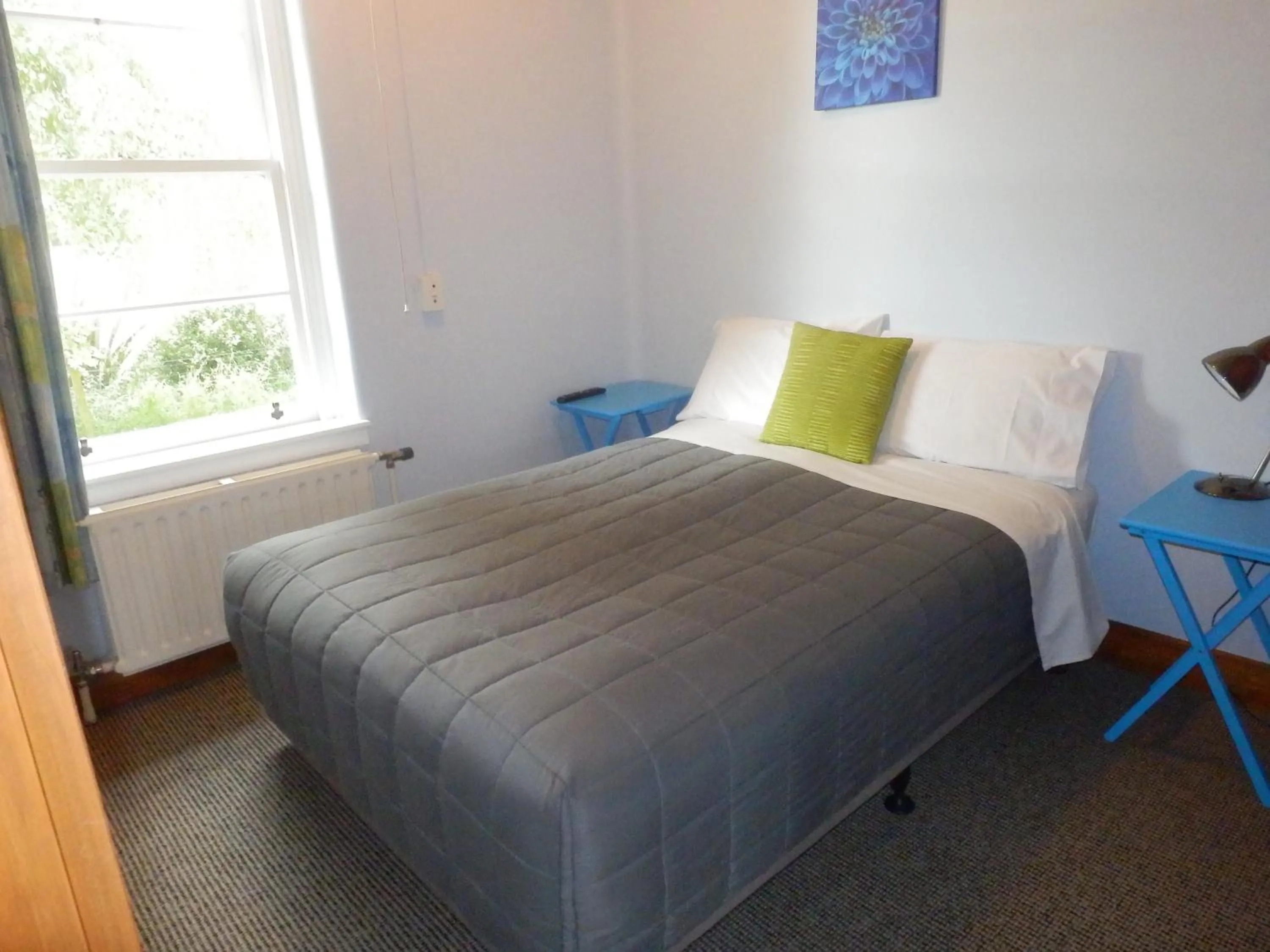 Bed in Thomas's Catlins Lodge and Camp Ground