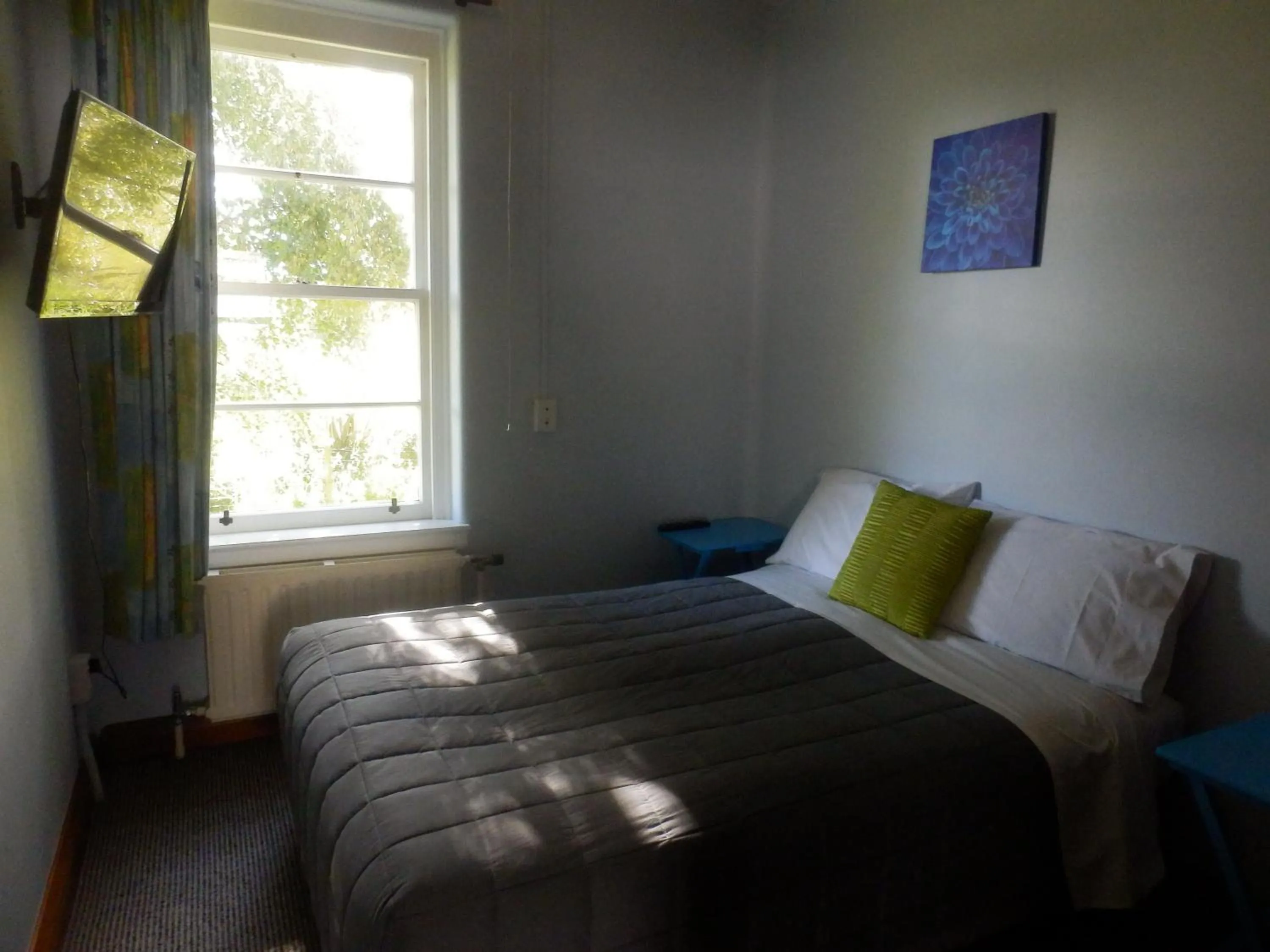 Bed in Thomas's Catlins Lodge and Camp Ground