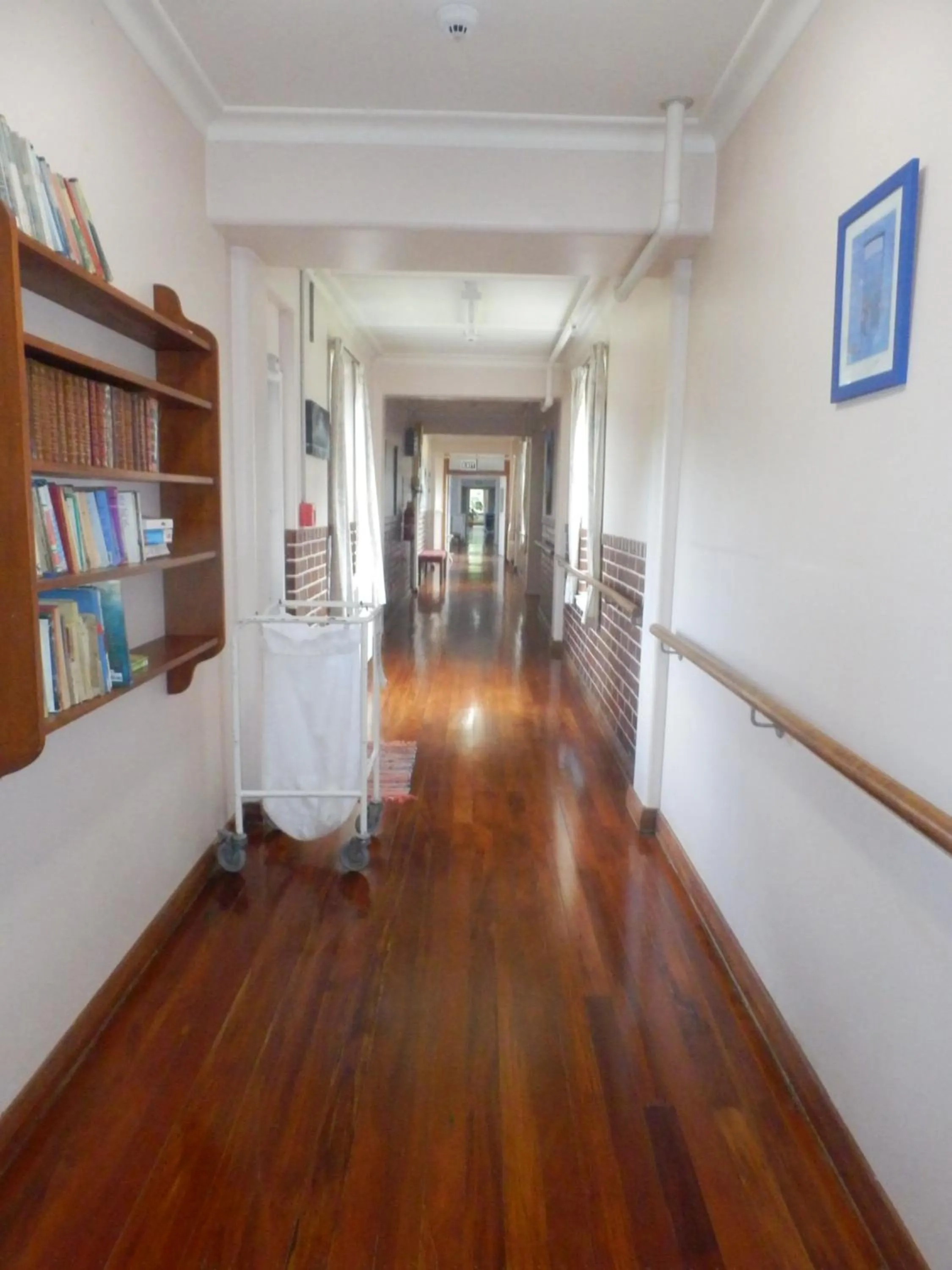 Garden in Thomas's Catlins Lodge and Camp Ground