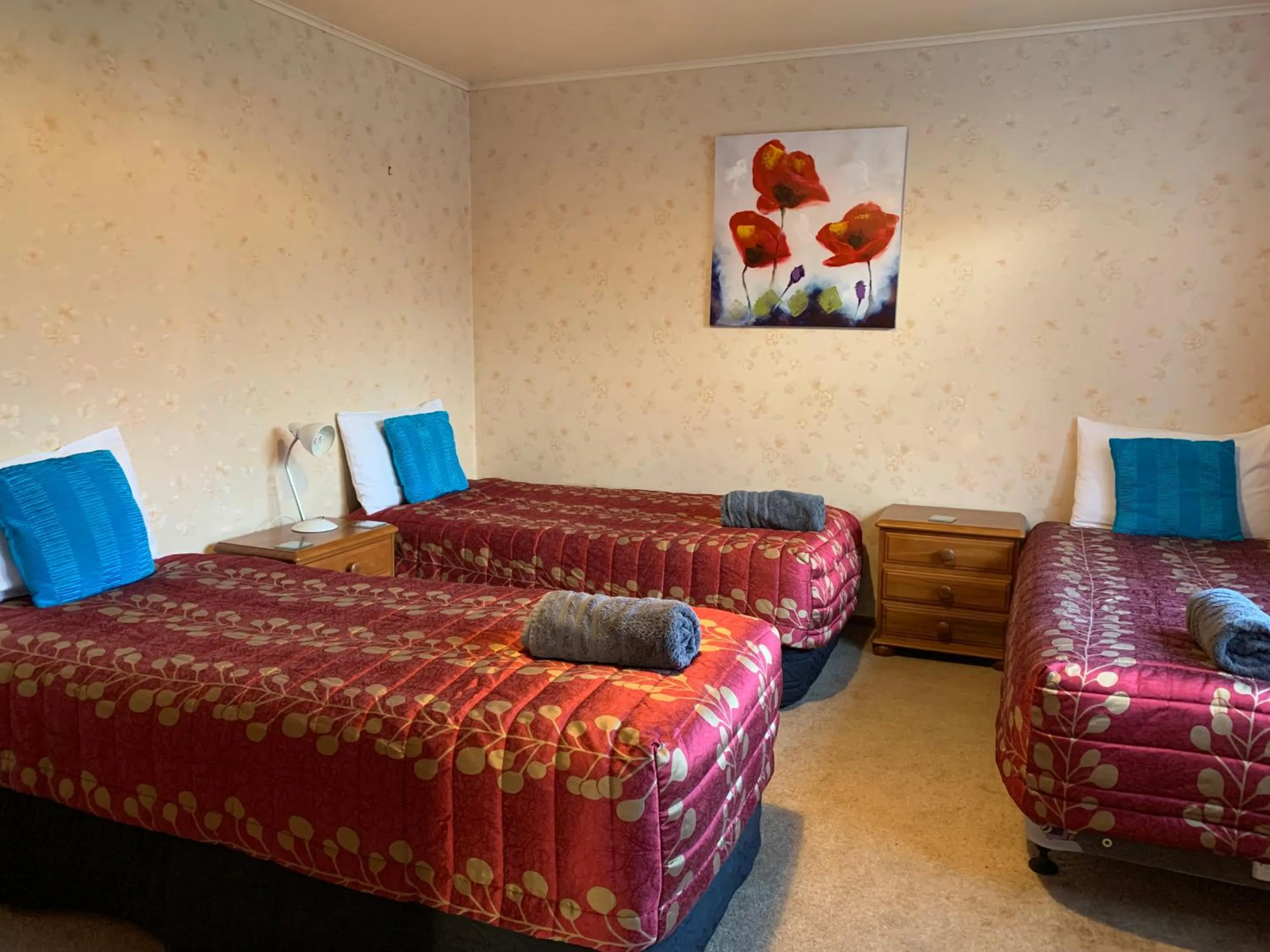 Bed in Thomas's Catlins Lodge and Camp Ground