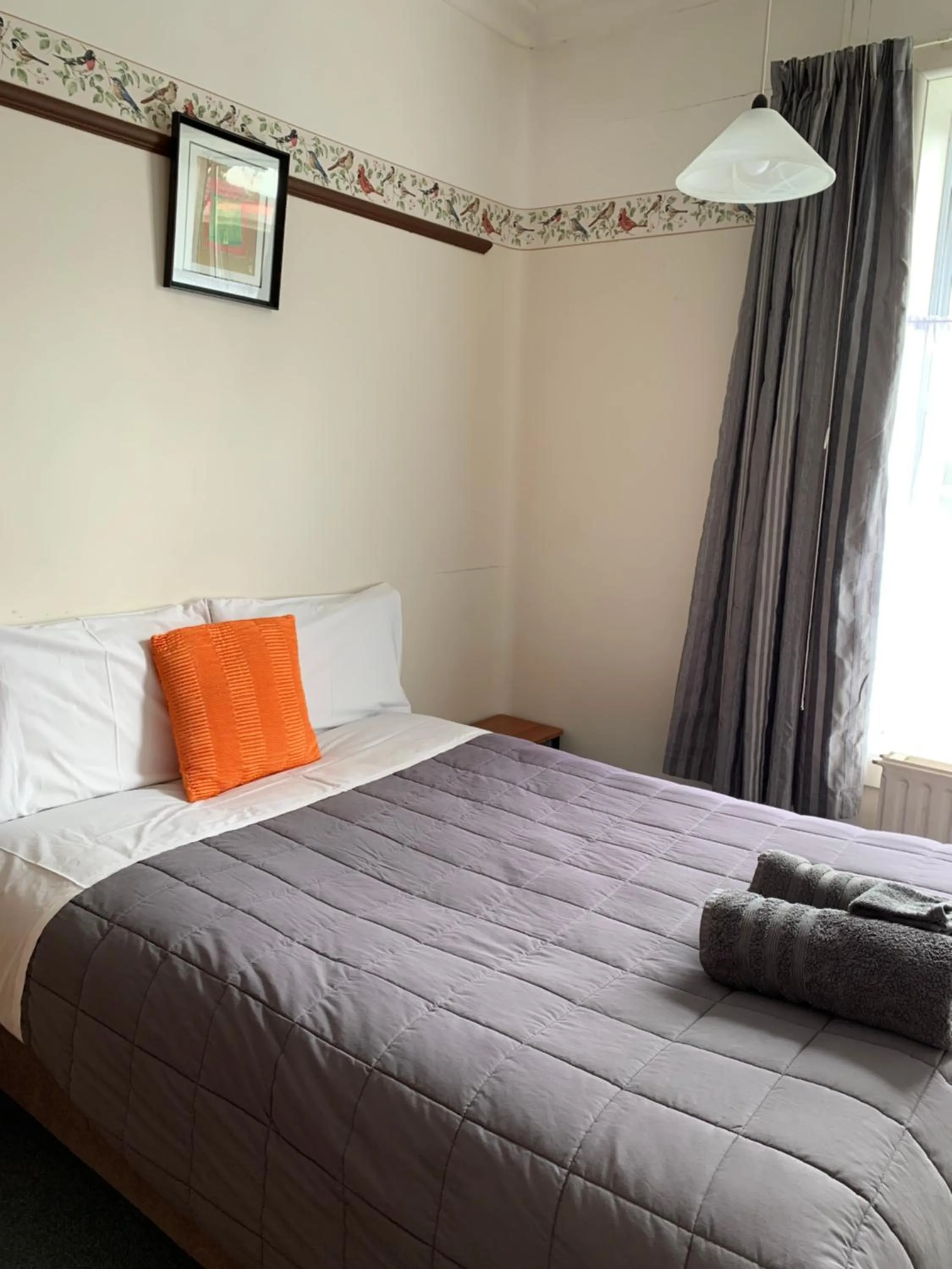 Bed in Thomas's Catlins Lodge and Camp Ground