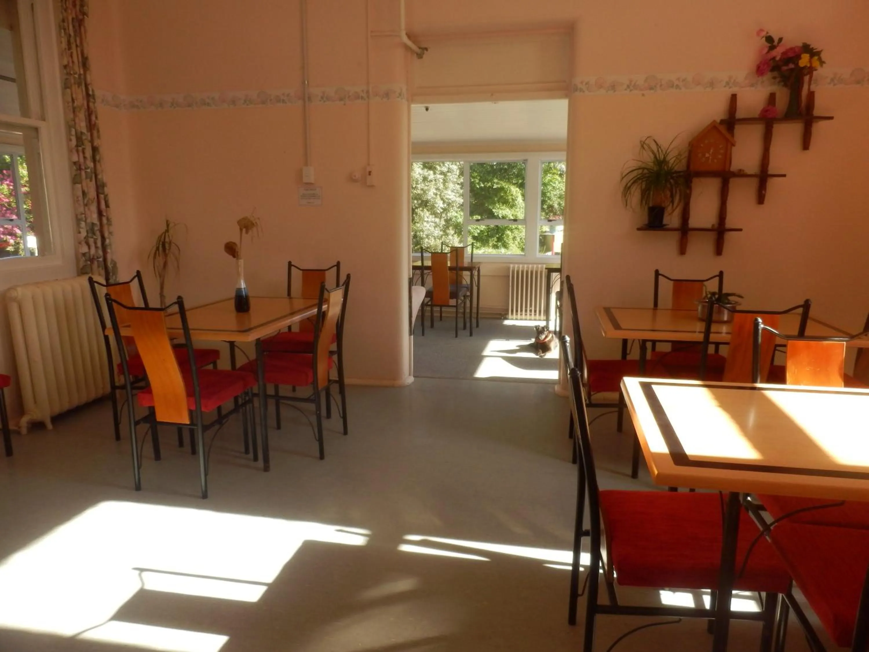 Food and drinks in Thomas's Catlins Lodge and Camp Ground