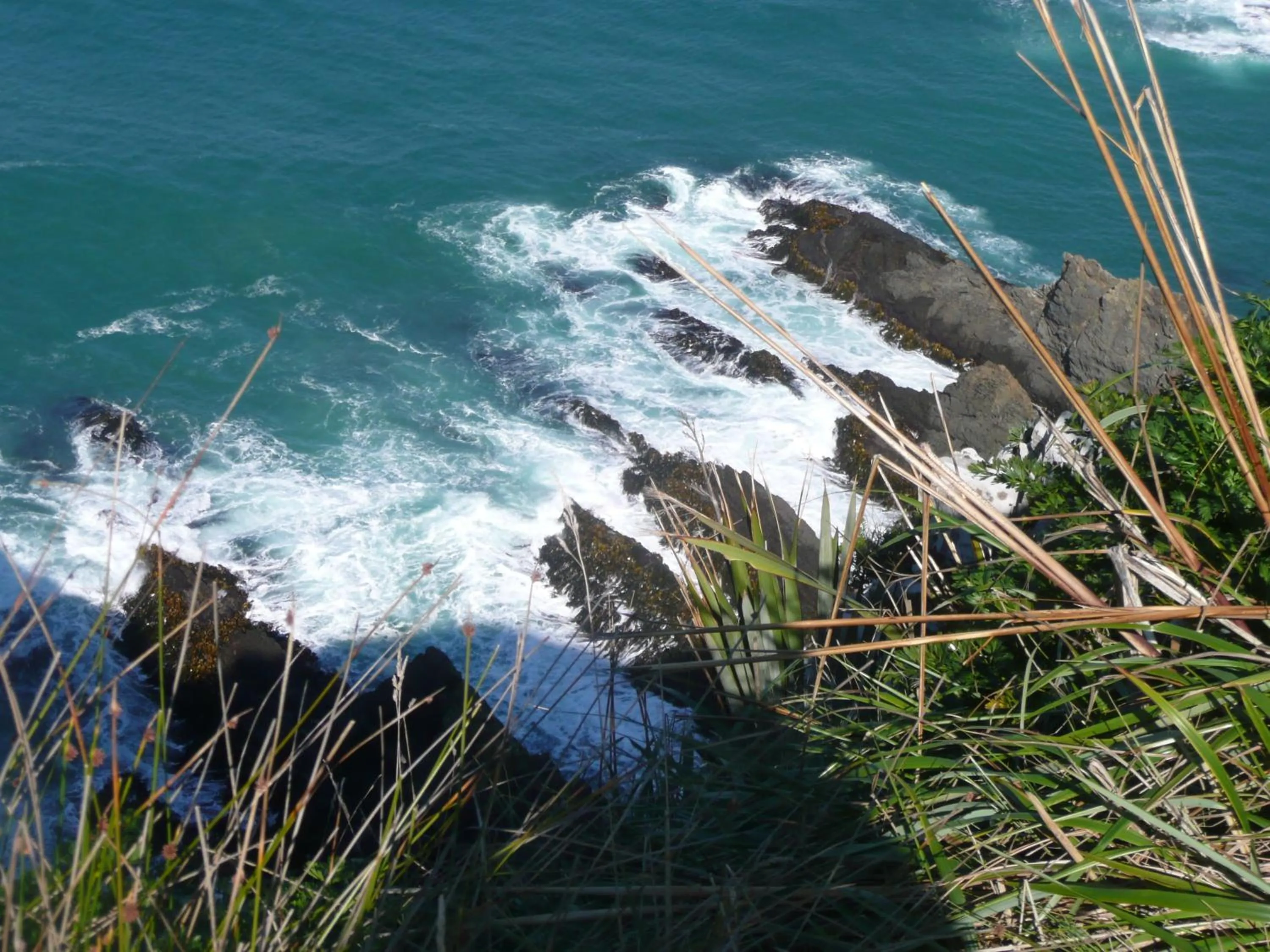 Hiking in Thomas's Catlins Lodge and Camp Ground