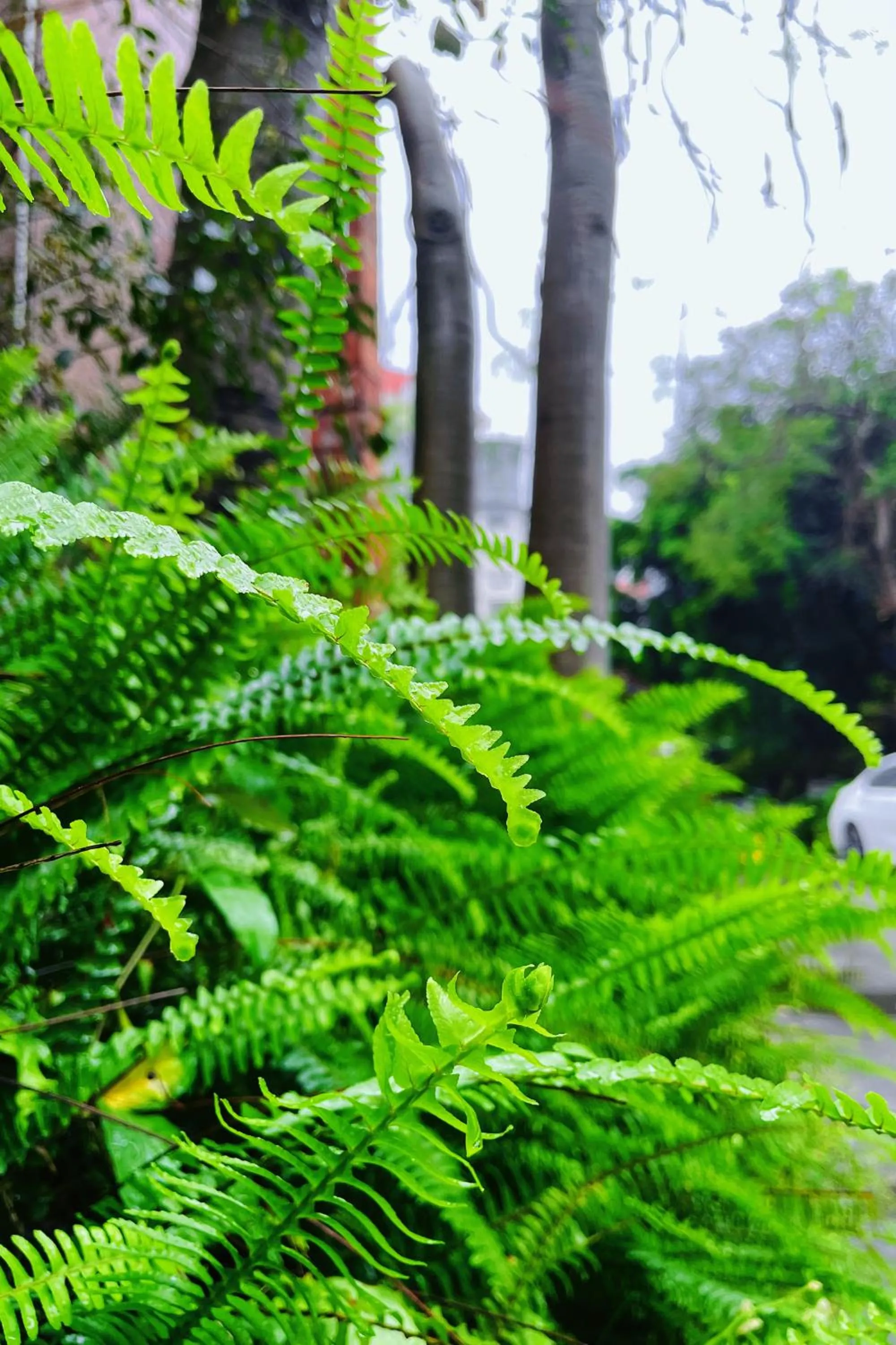 Property building in Xiamen Xiang An Yi Hao Hotel