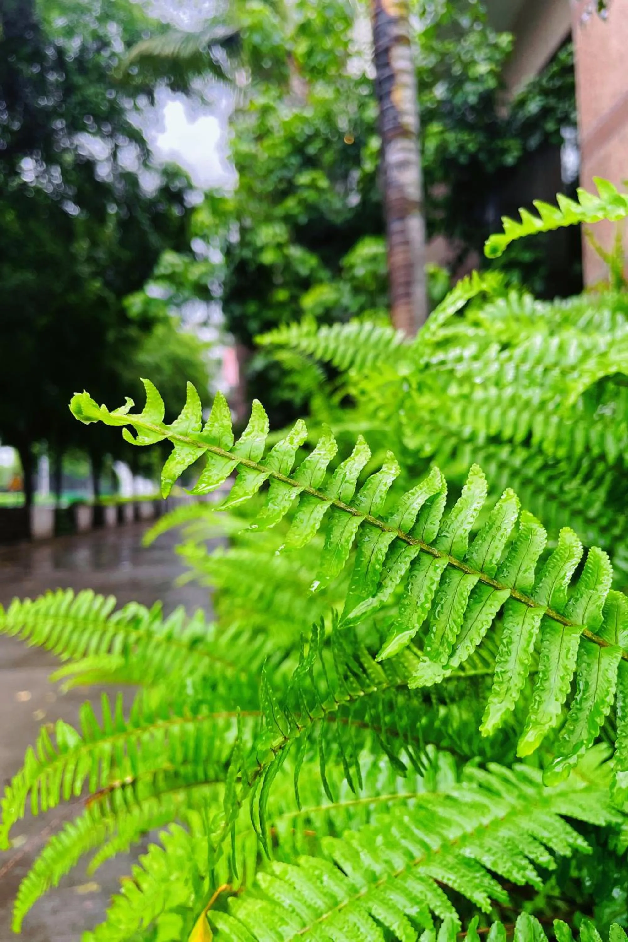 Property building in Xiamen Xiang An Yi Hao Hotel