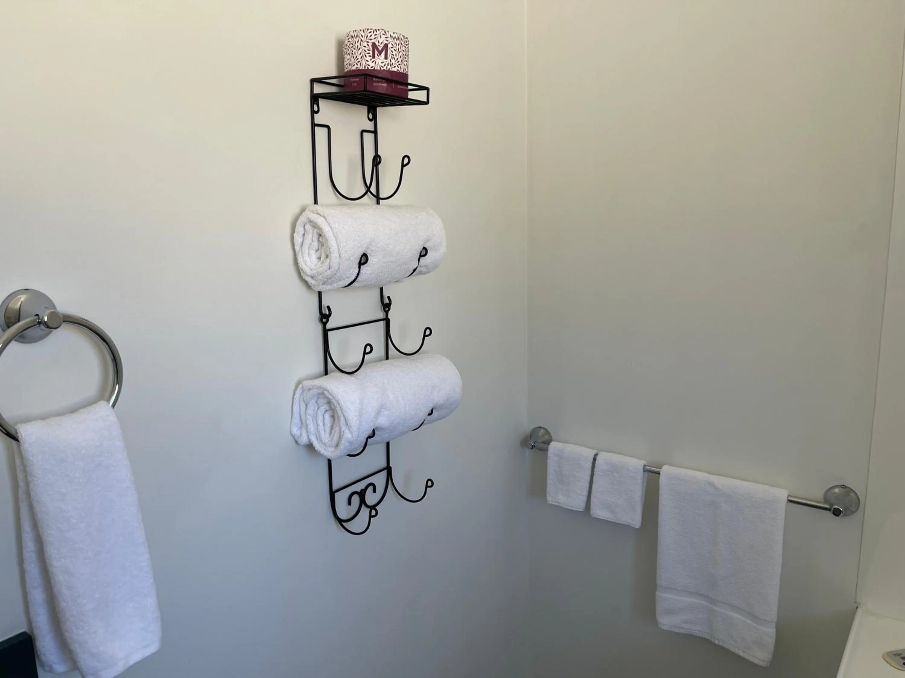 Toilet in Camelot Motor Lodge and Conference Centre