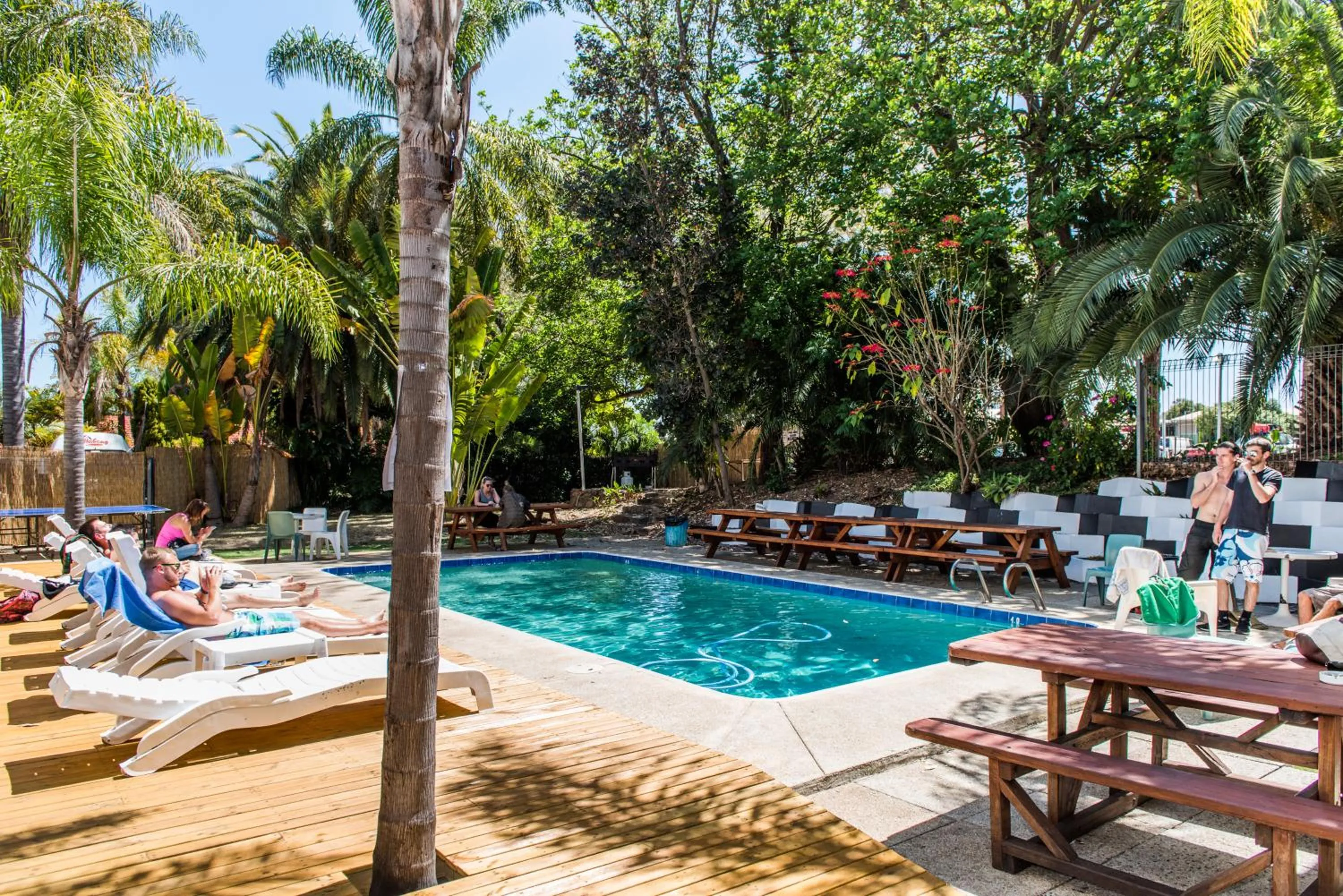 Swimming pool in Billabong Backpackers Resort