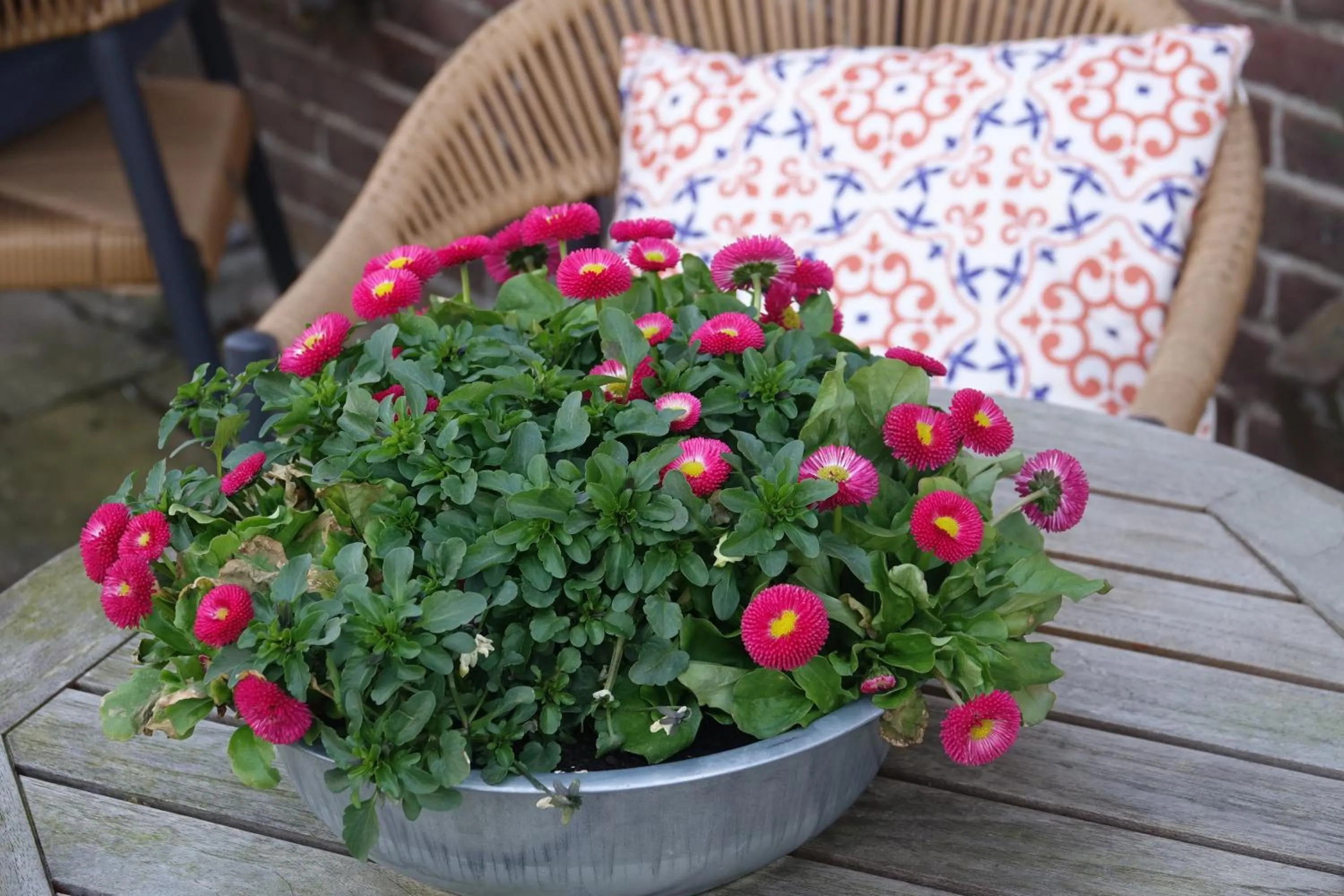Balcony/Terrace in Hotel het Anker van Texel