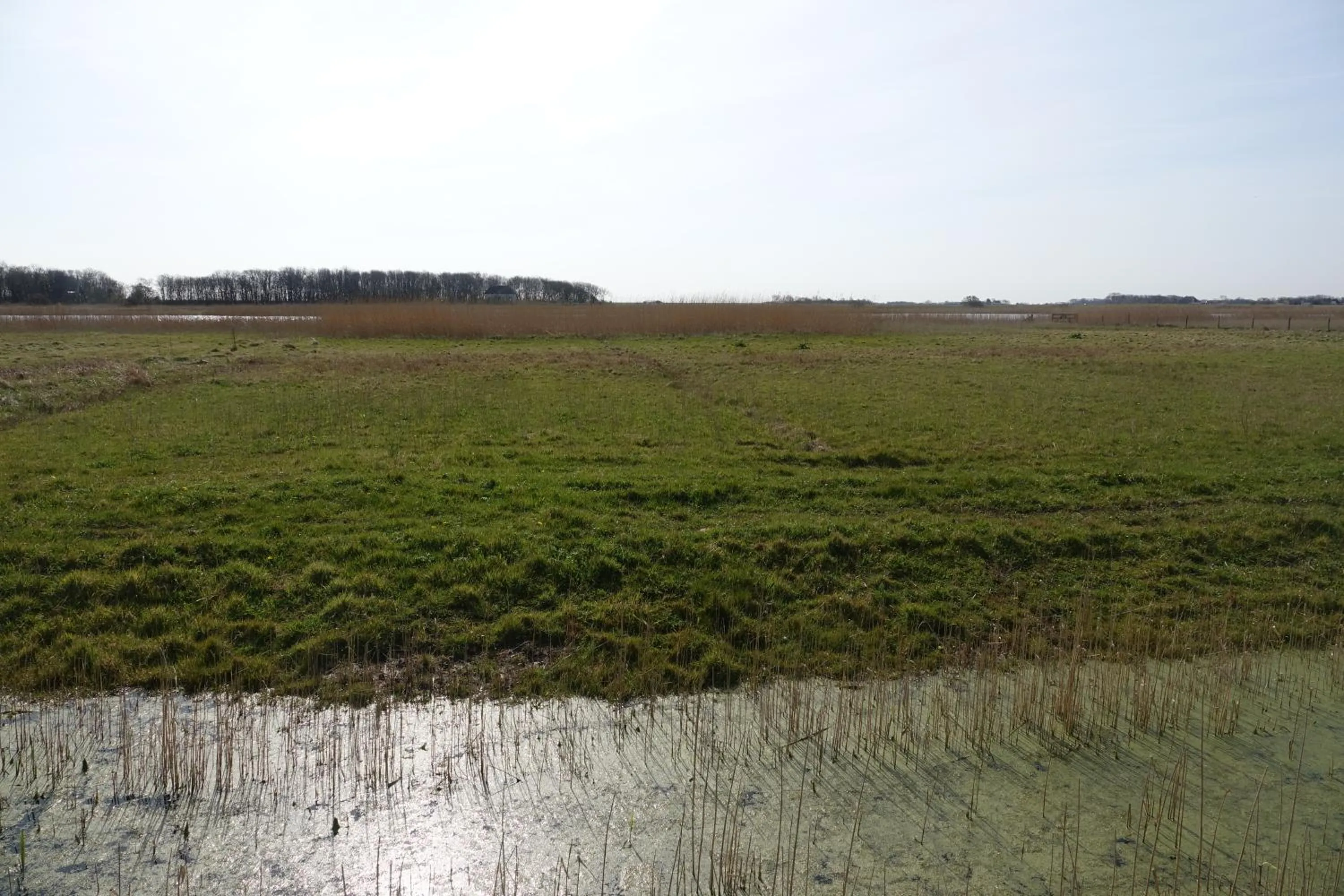 View (from property/room) in Hotel het Anker van Texel