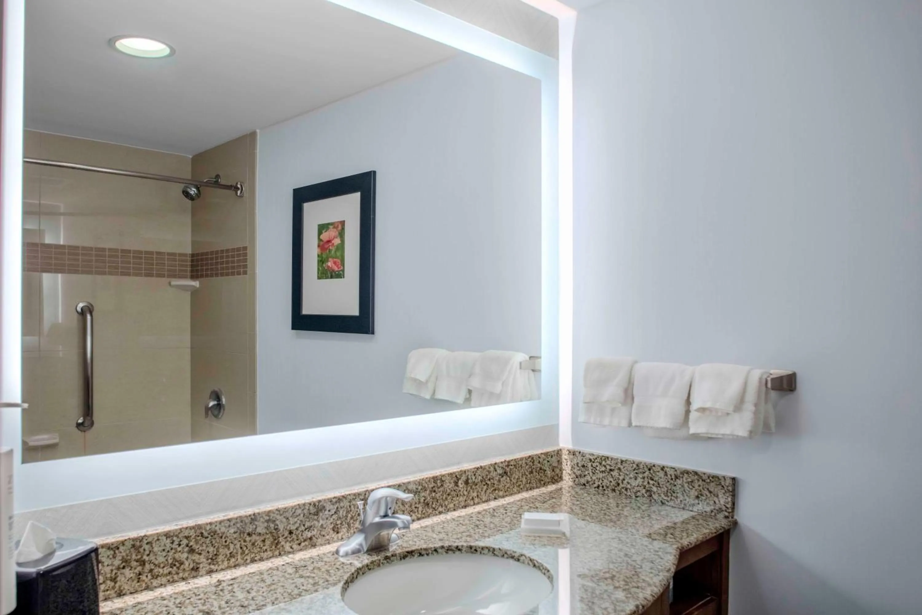 Bathroom in Hilton Garden Inn Charleston / Mt. Pleasant