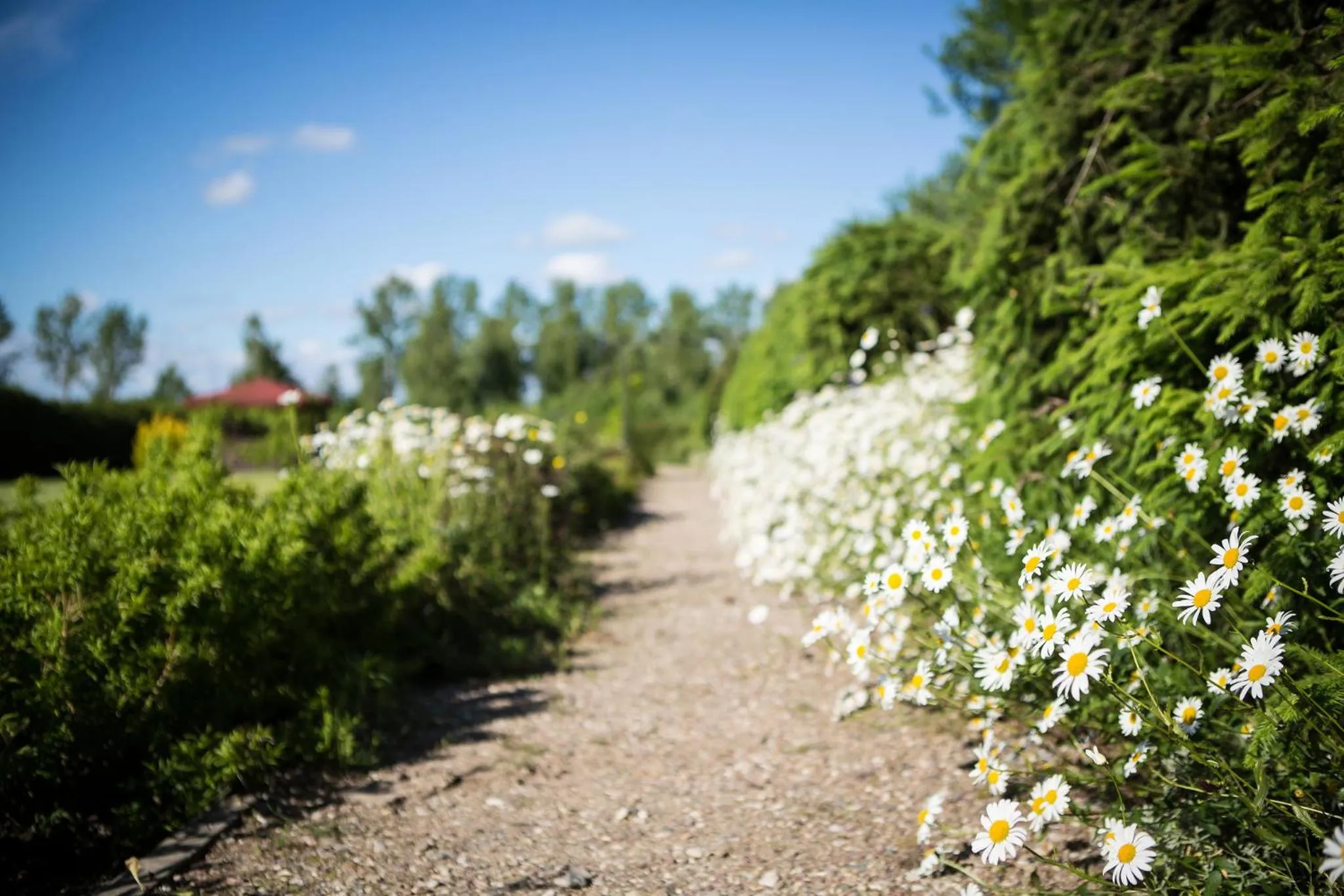 Lake view in Artemis