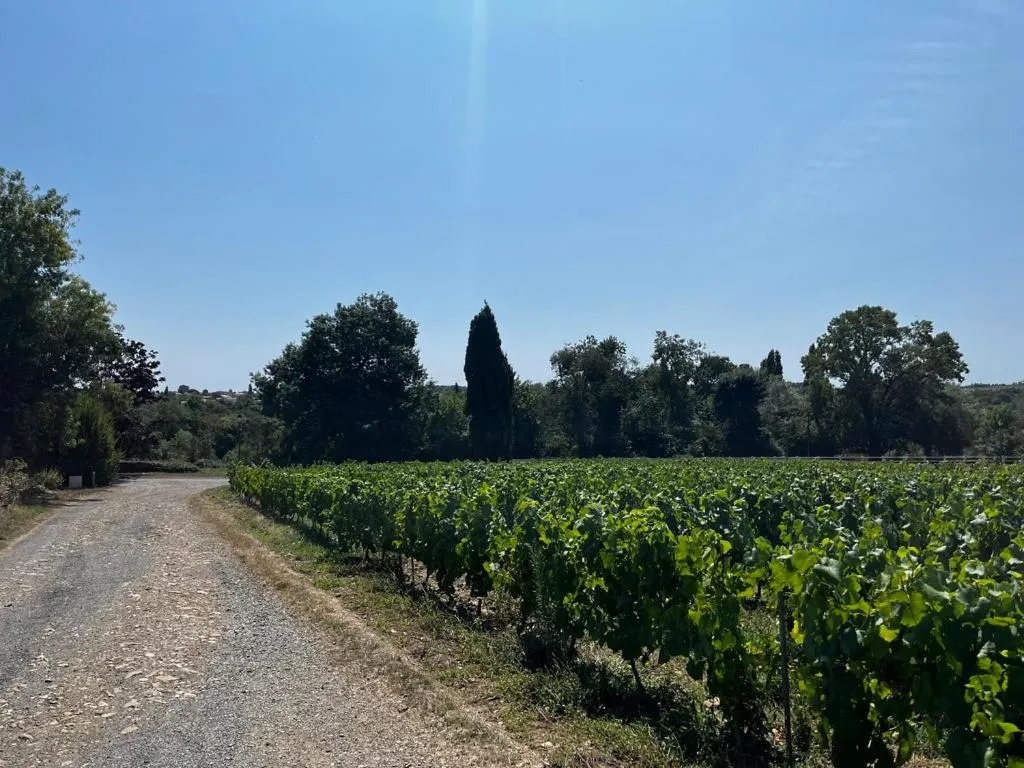 Château de la Galissonnière