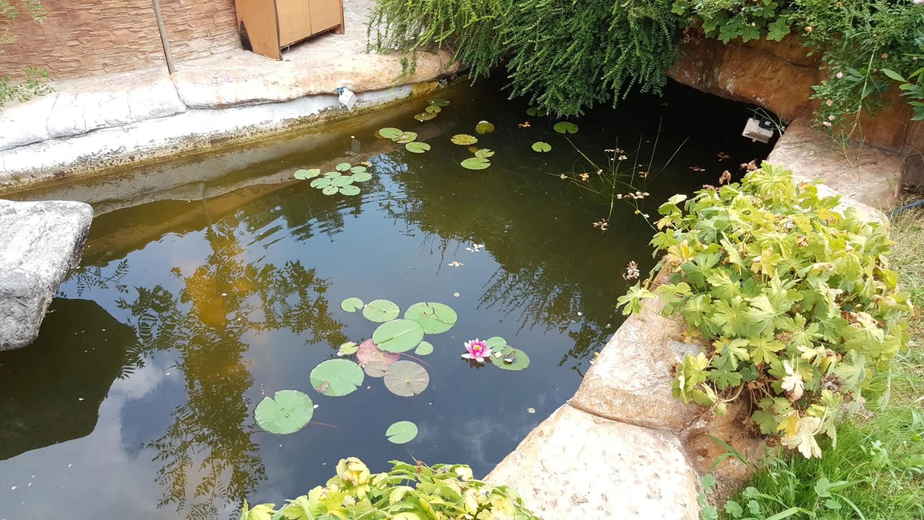 Spring in Туристически комплекс"Странджа"