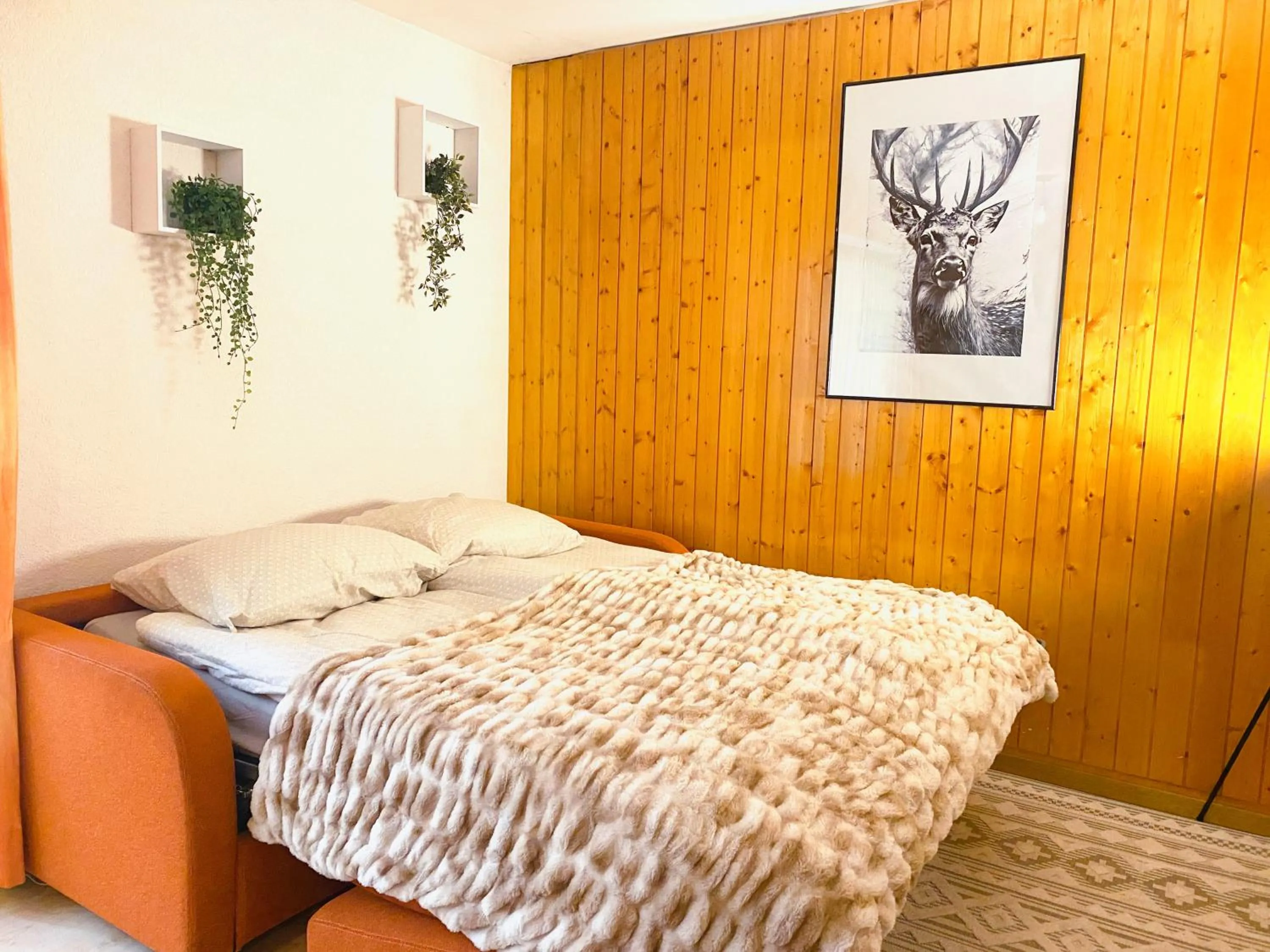 Bed in Appartement central Free Parking