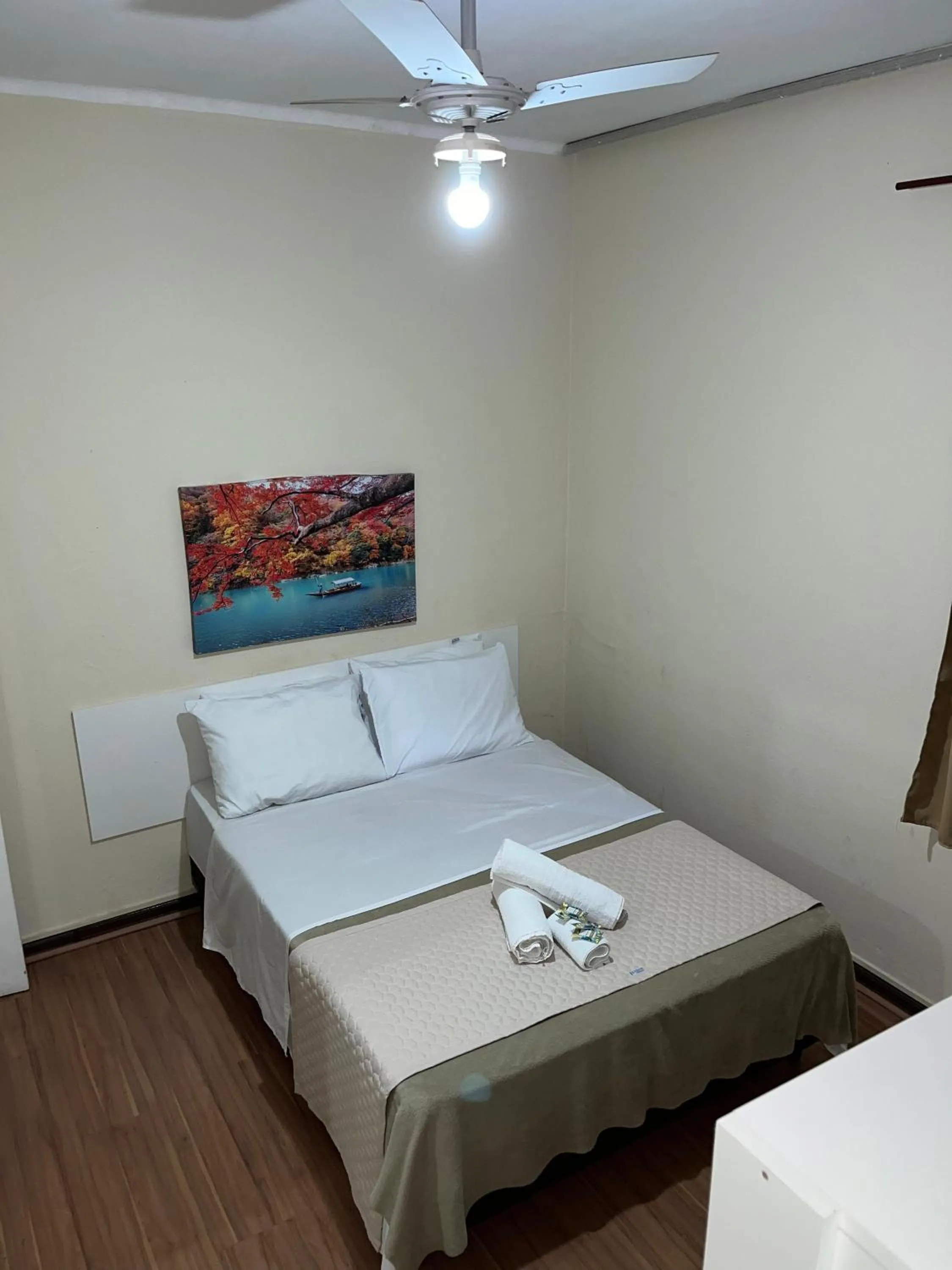 Double Room with Private External Bathroom - single occupancy in Hotel Avenida