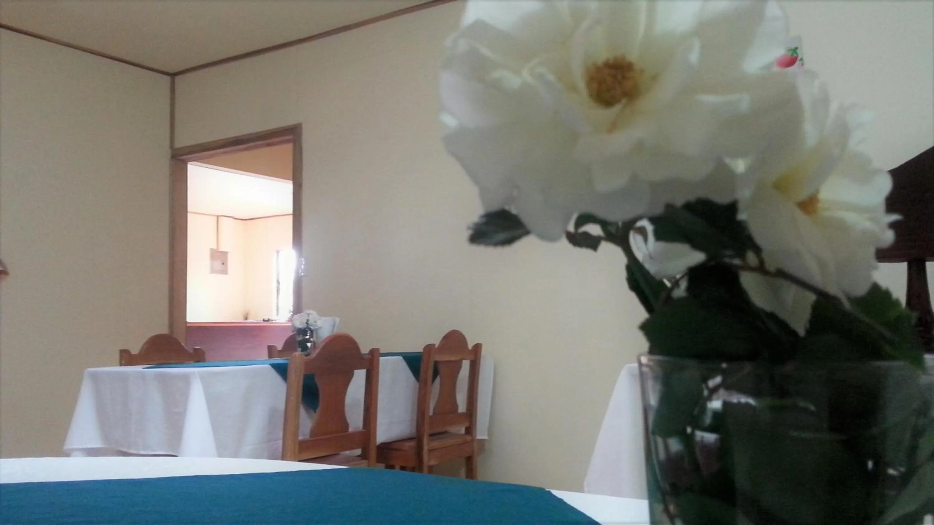 Breakfast in Monte Los Lirios Lodge