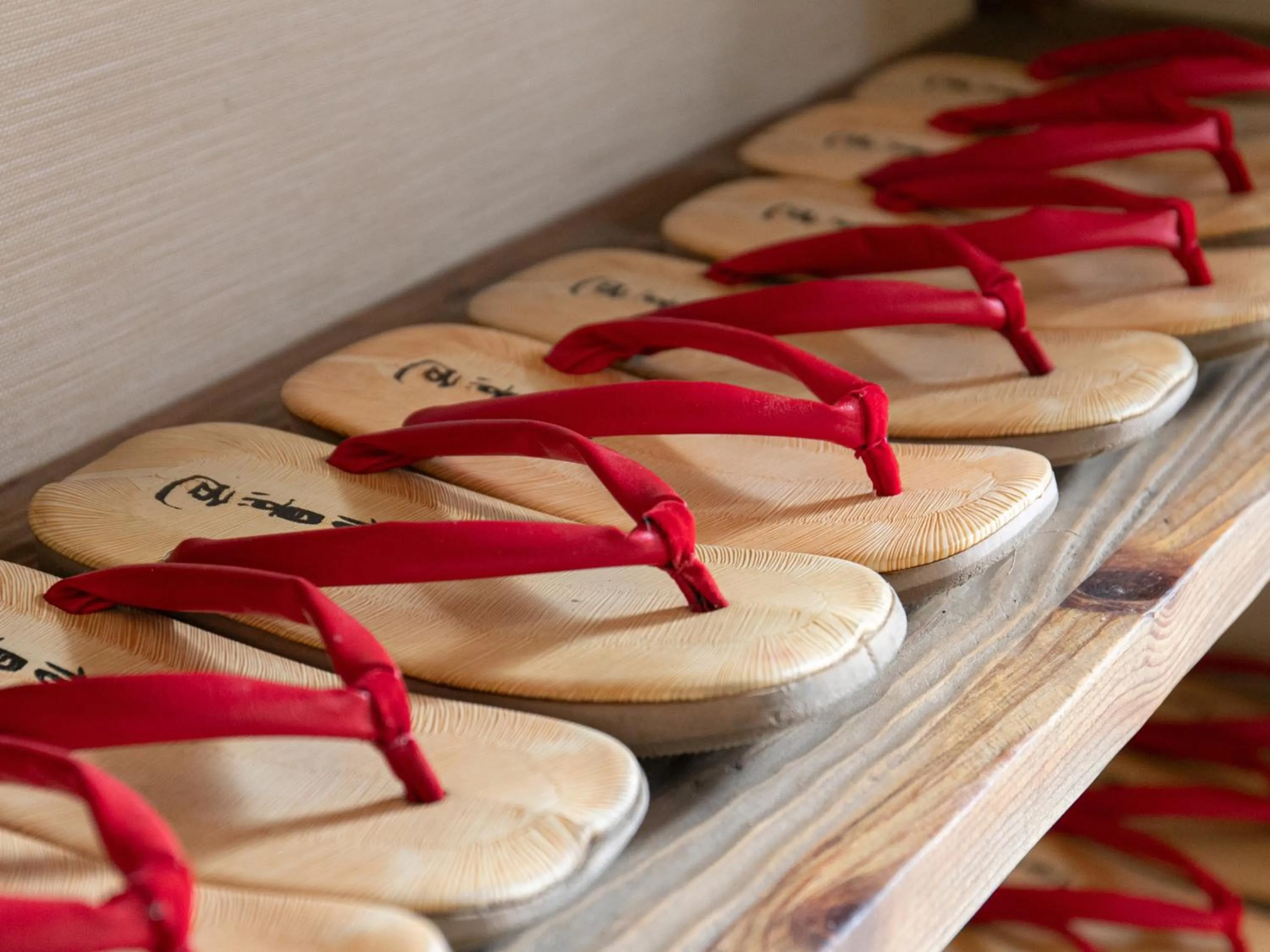 Area and facilities in Hotel Hanagesiki