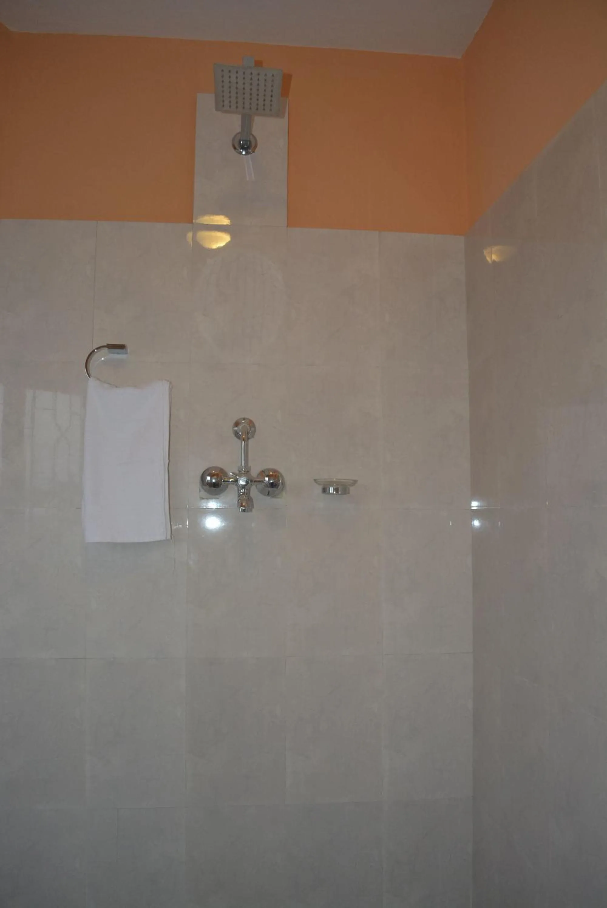 Shower in Bodhi Guest House