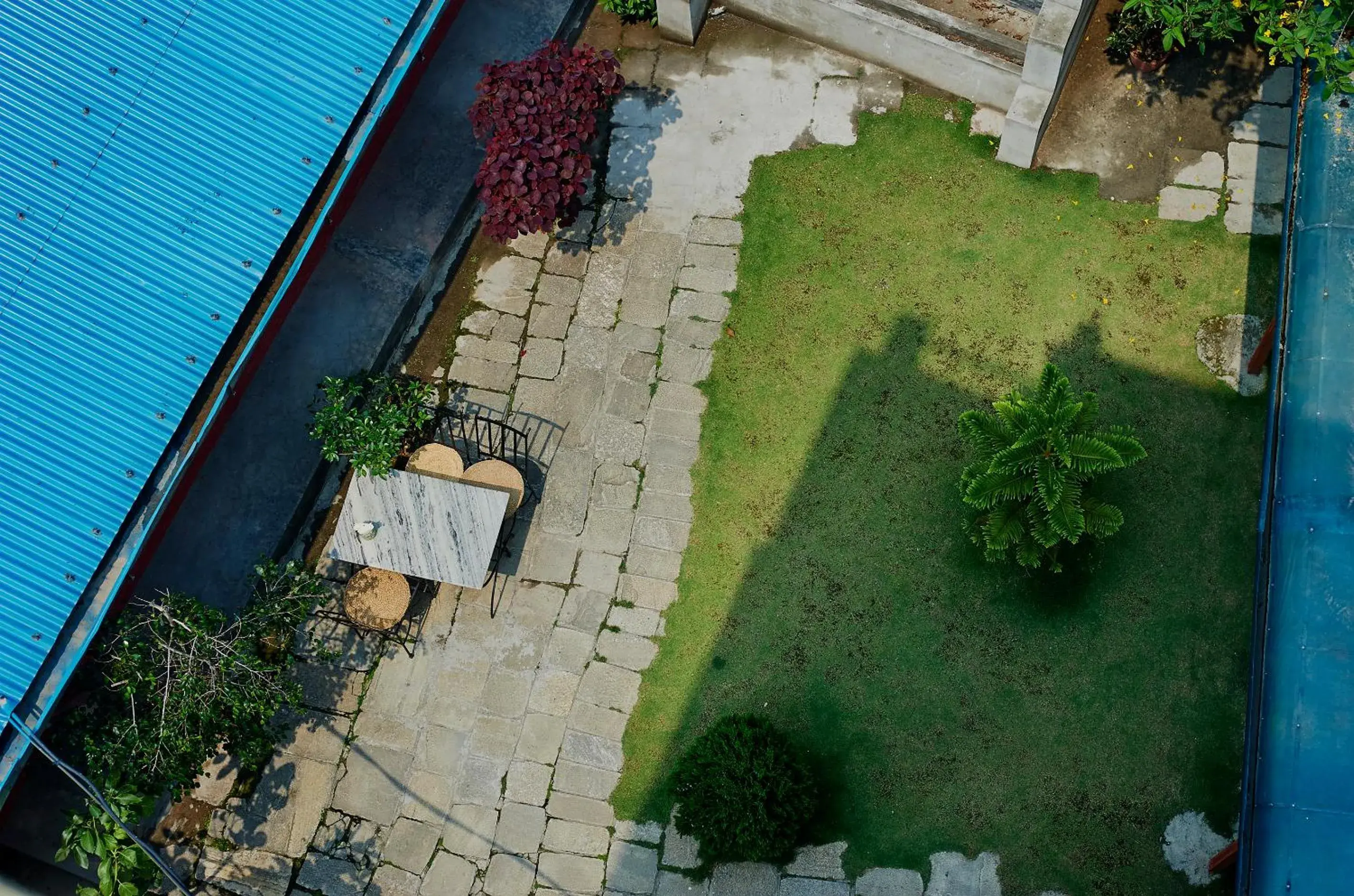 Garden view in Bodhi Guest House Garden view in Bodhi Guest House