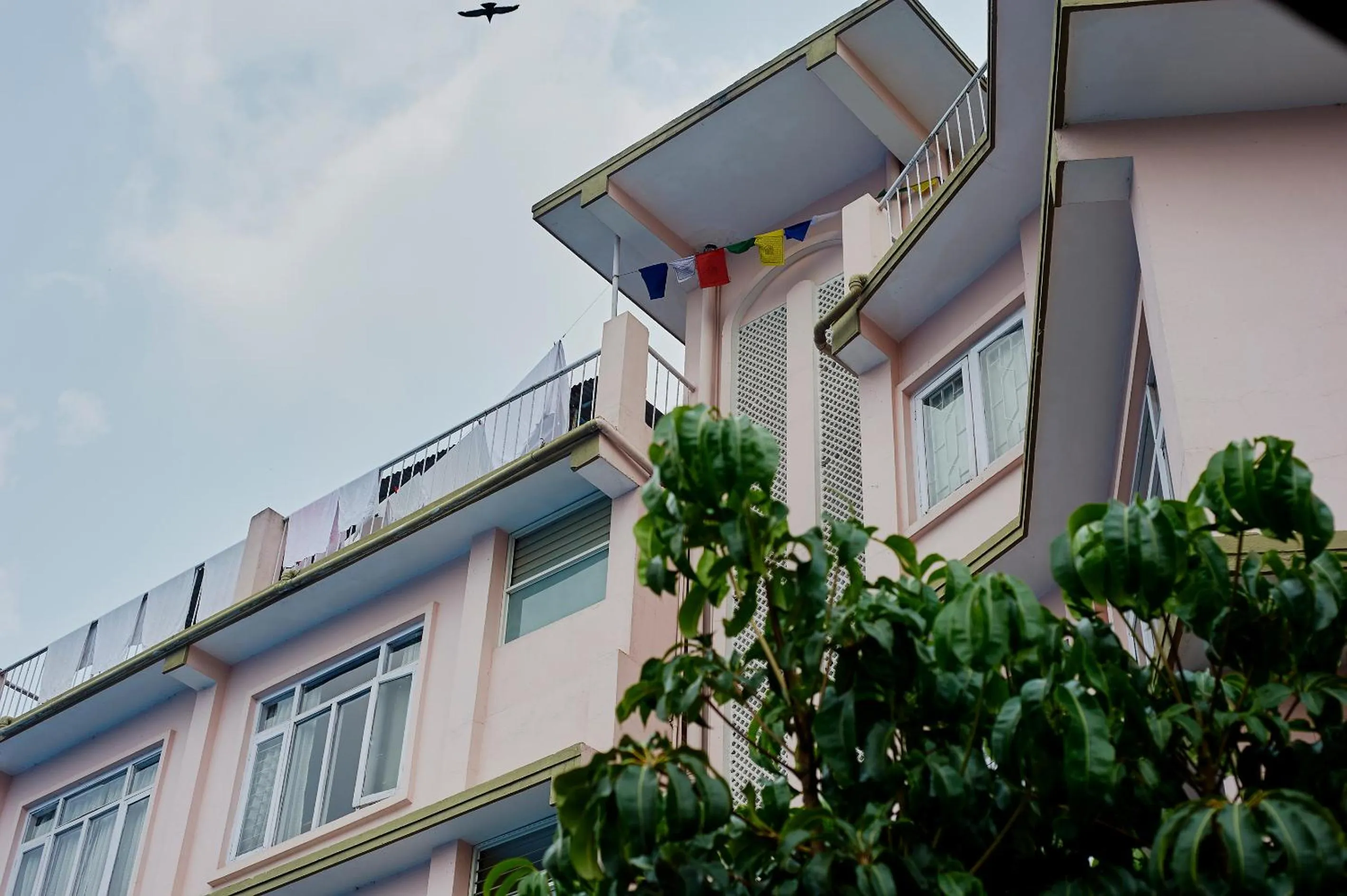 Property building in Bodhi Guest House