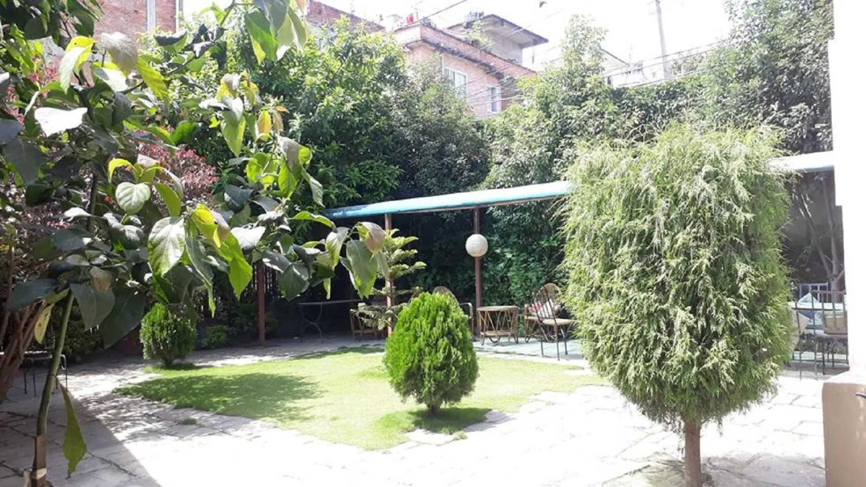 Garden in Bodhi Guest House