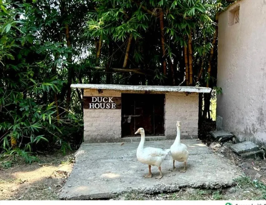 Day in Click Resort Corbett Tiger Den