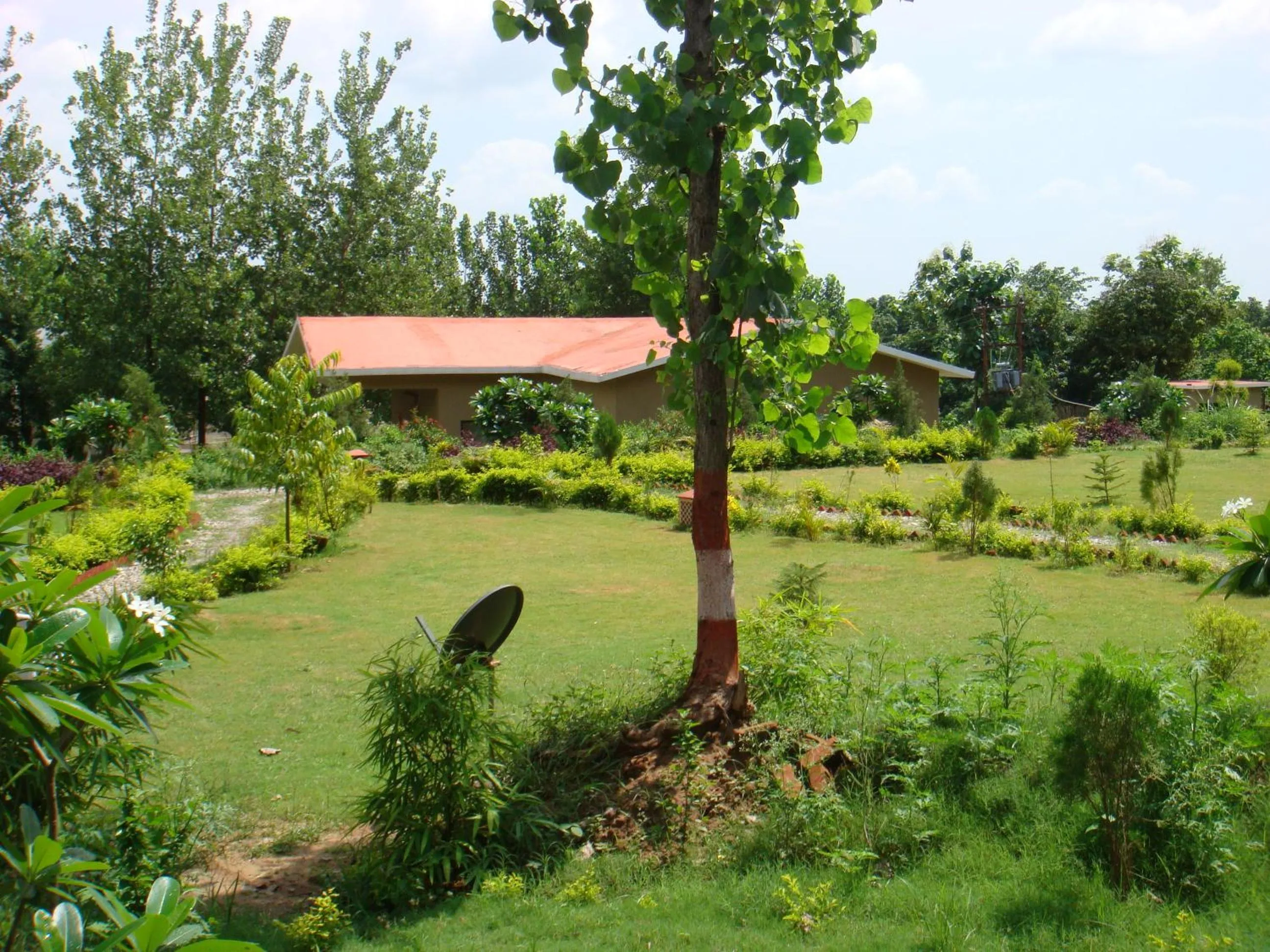 Garden in Click Resort Corbett Tiger Den