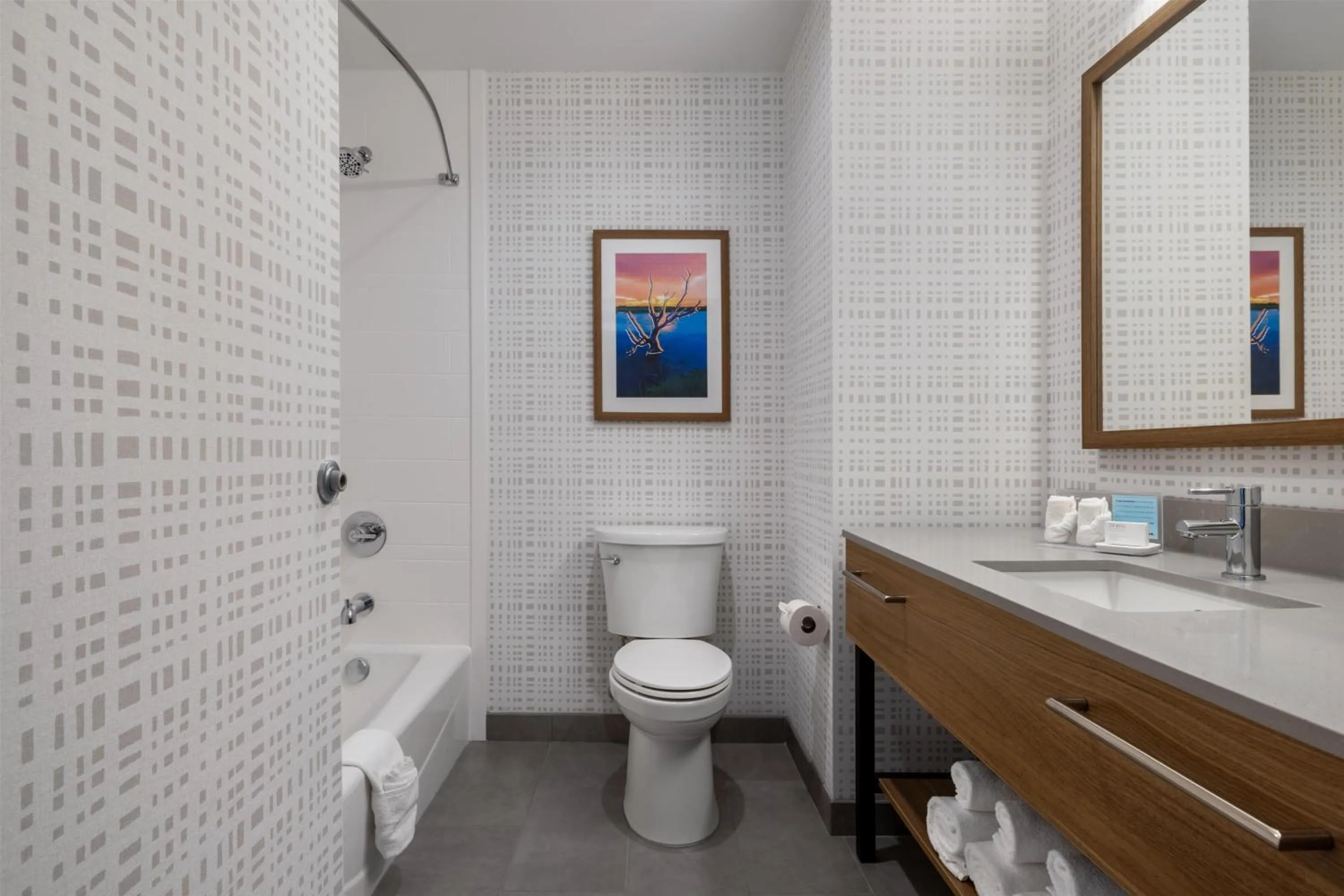 Bathroom in Hampton Inn By Hilton Wichita Falls North