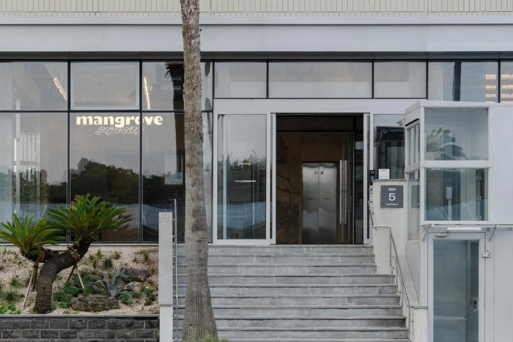 Property building in Mangrove Jeju City