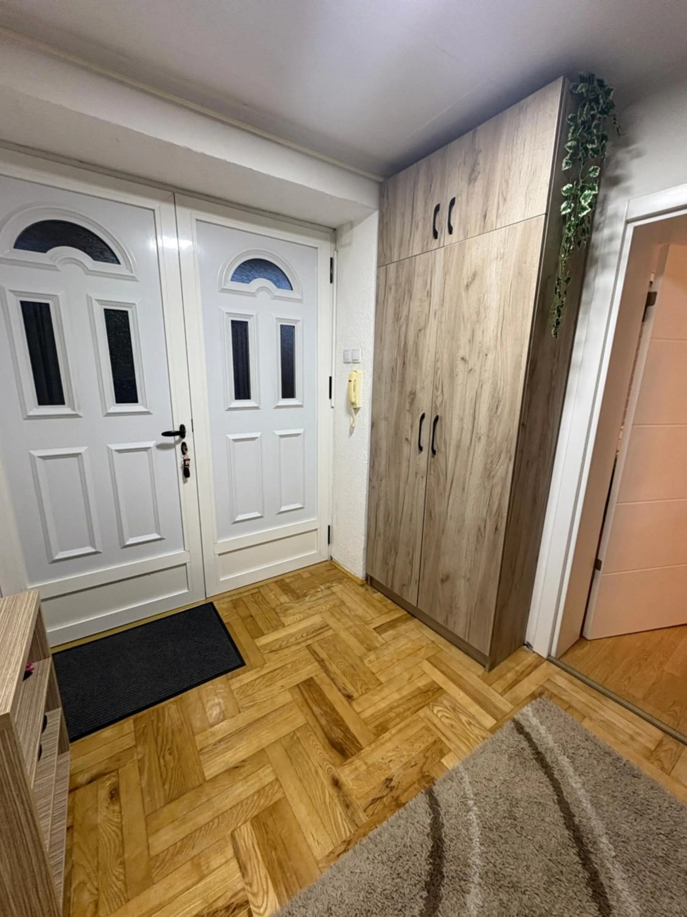 Apartment Irma