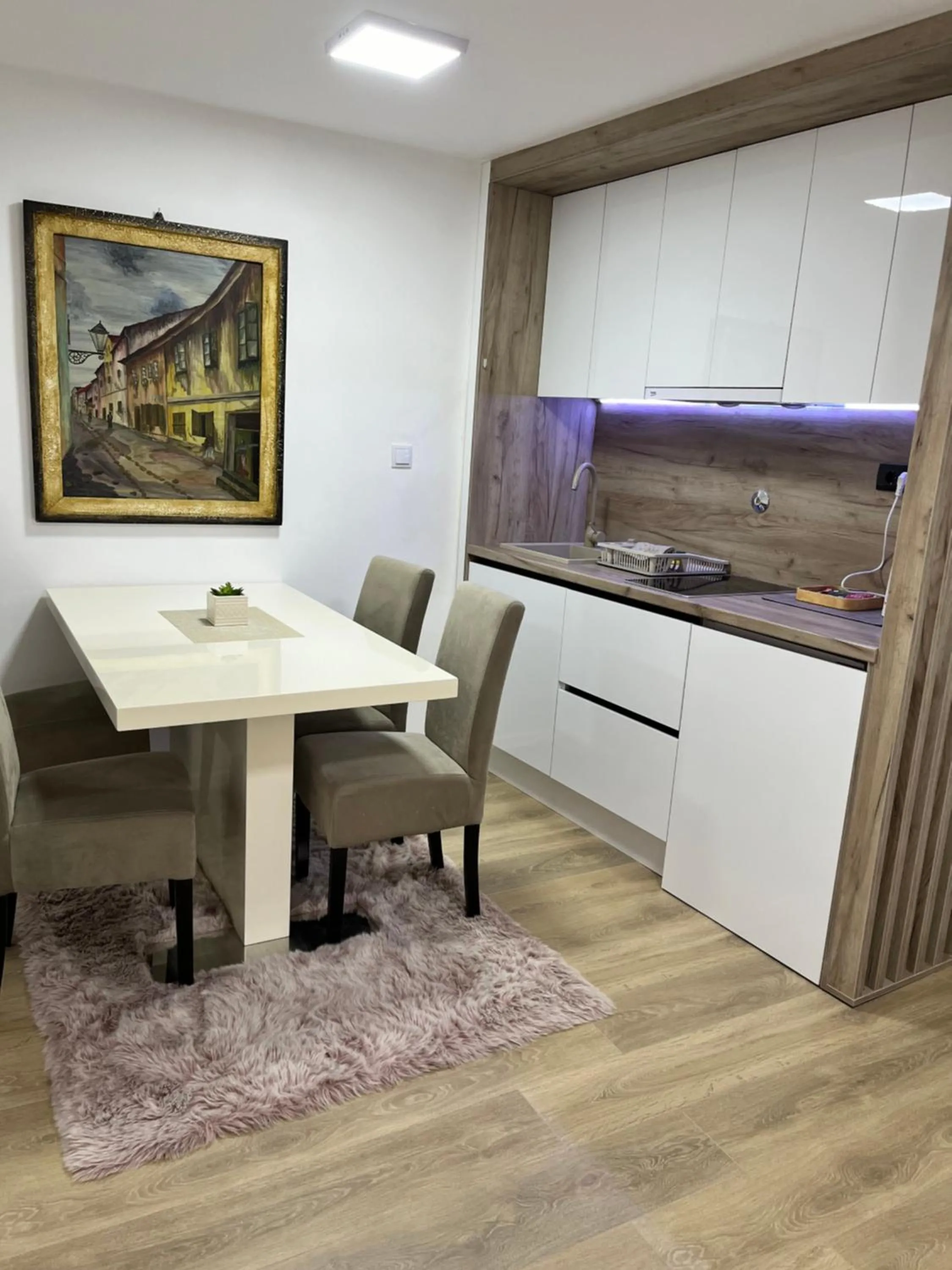 Apartment Irma