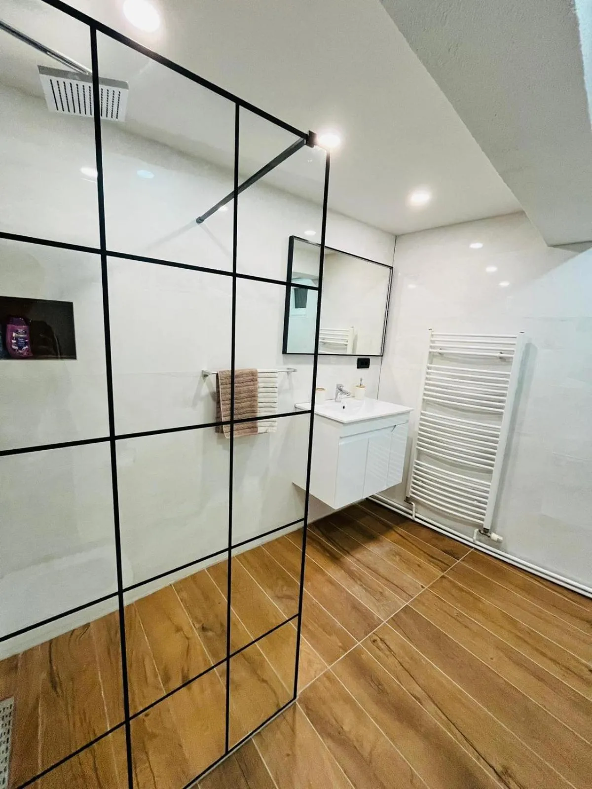 Apartment Irma