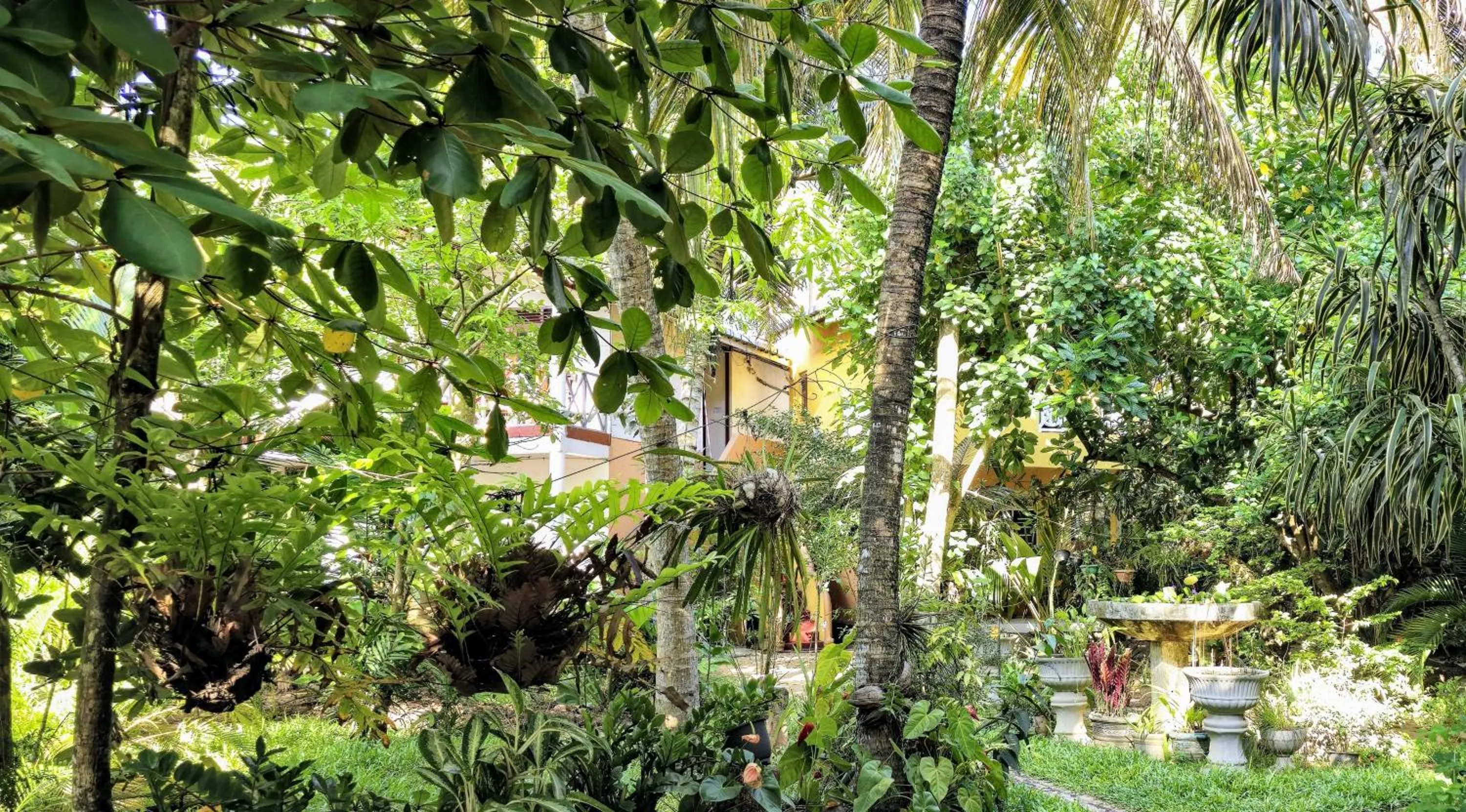 Garden in Seashore Mirissa