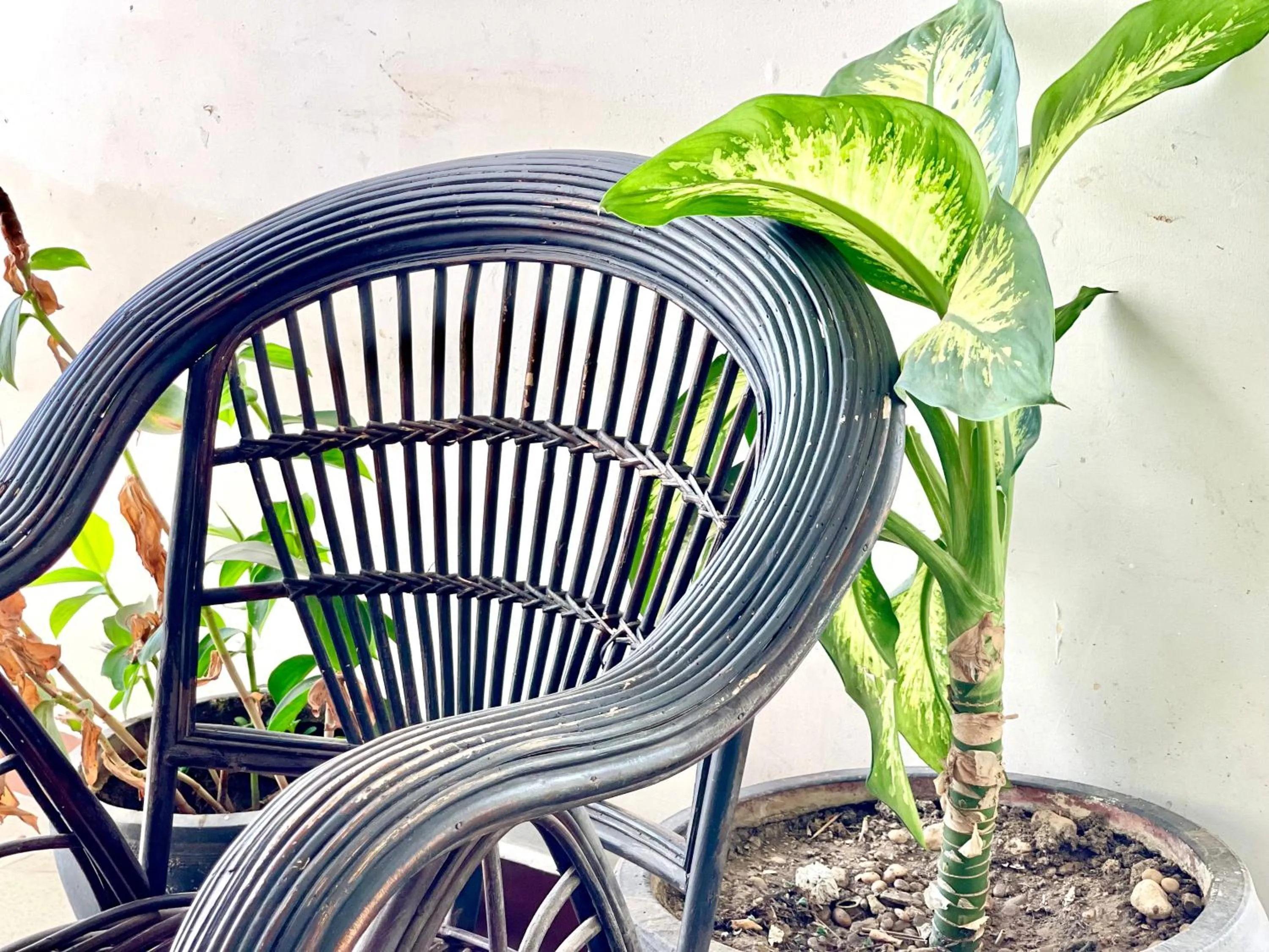 Sky hotel - Rooms & Free laundry - 50m to Royal Palace