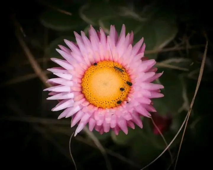 Quality Inn Hotel Kigali