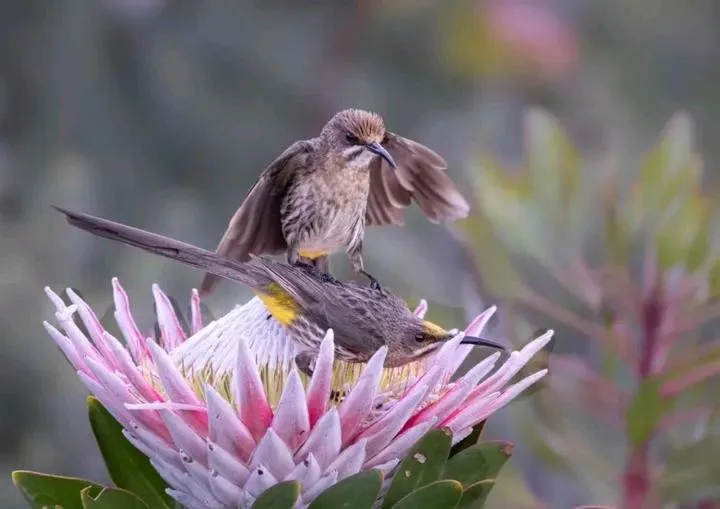 Quality Inn Hotel Kigali