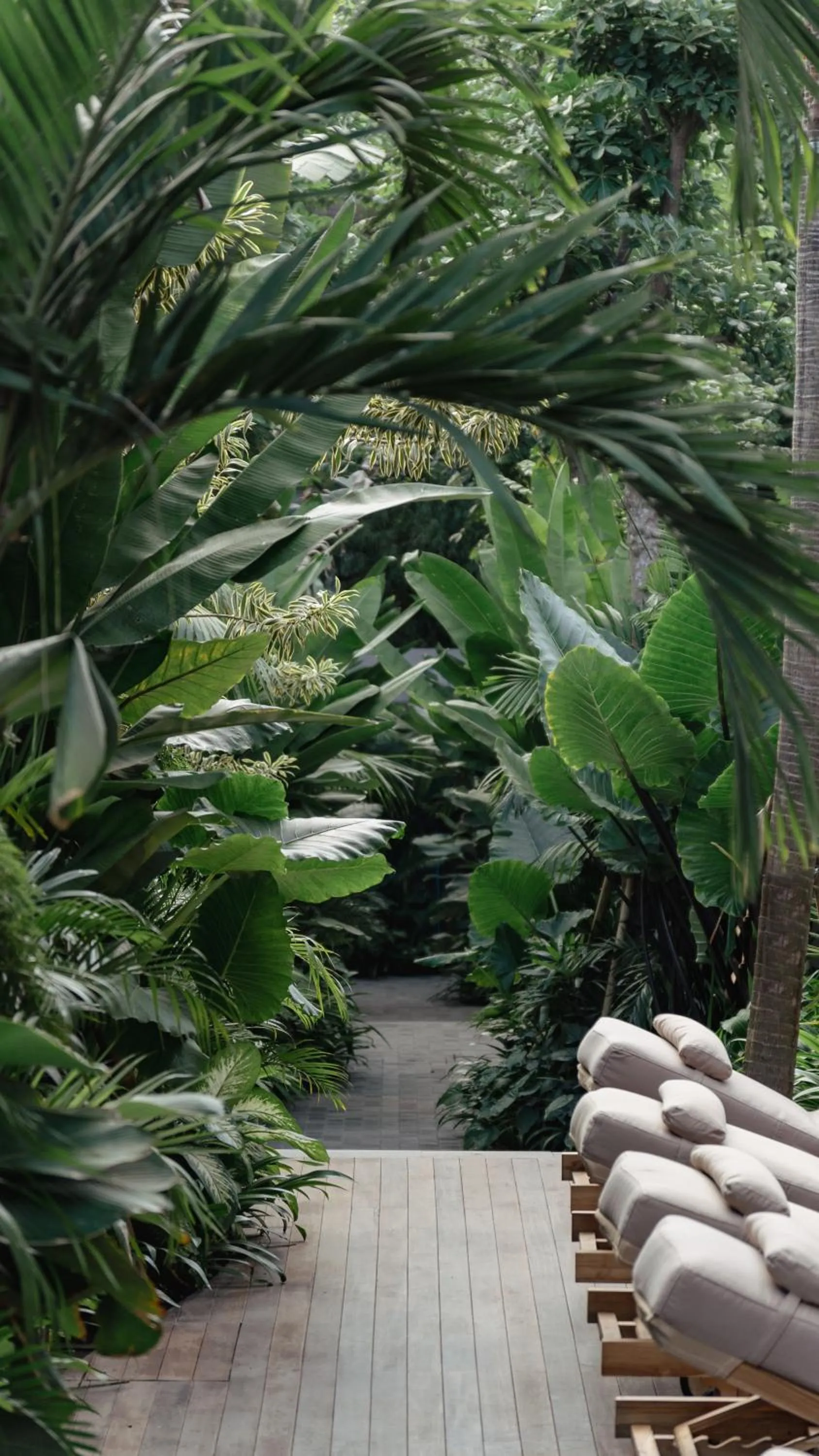 Property building in The Akasha Canggu Luxury Villas