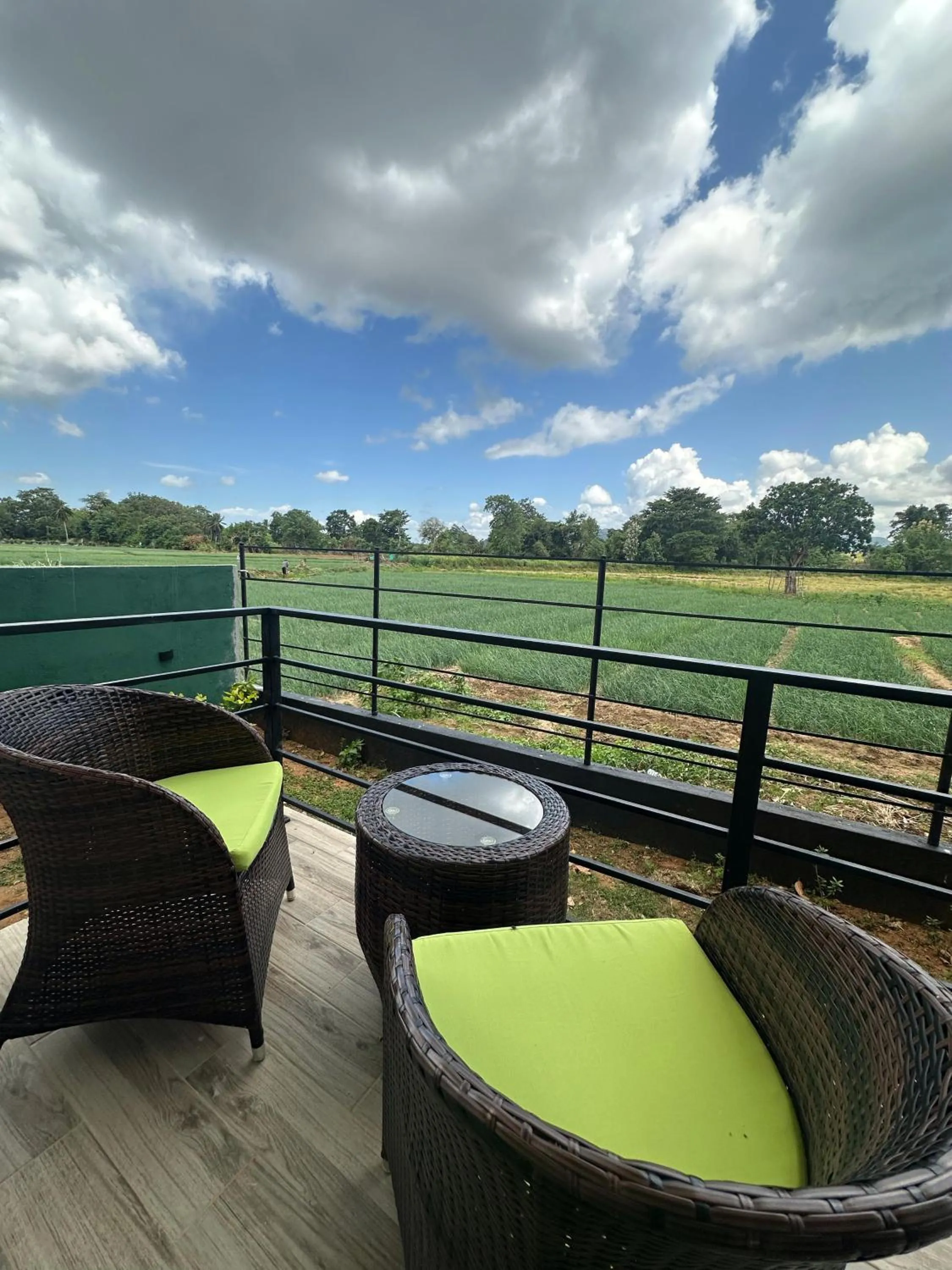 Patio in Hotel Sigiriyaaya